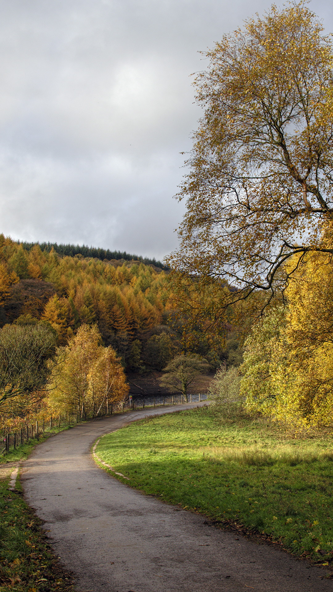 Desktop Wallpaper England Fernilee Autumn Nature Roads 1080x1920