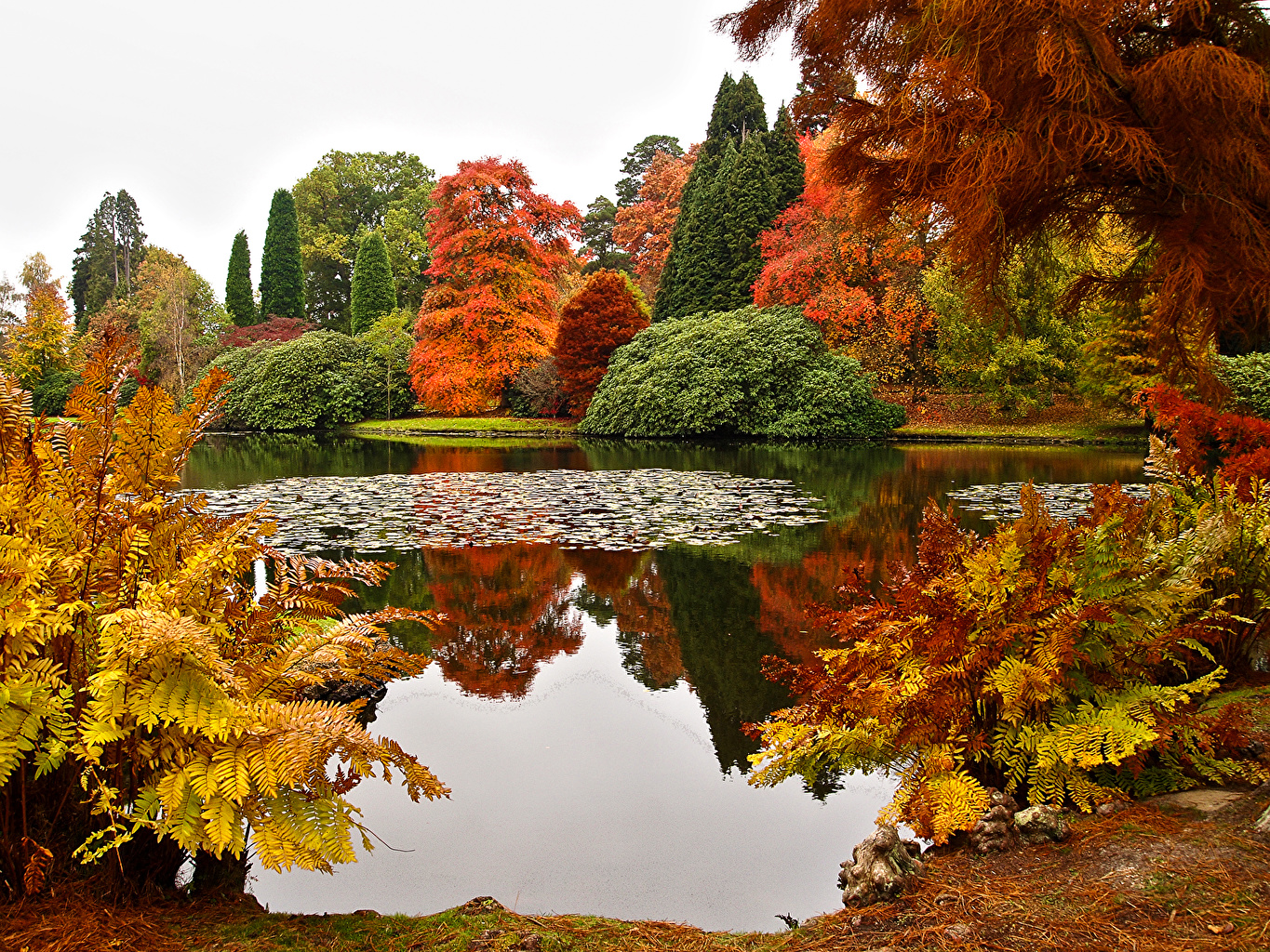 Wallpaper United Kingdom Sheffield Park Garden Autumn Nature Pond