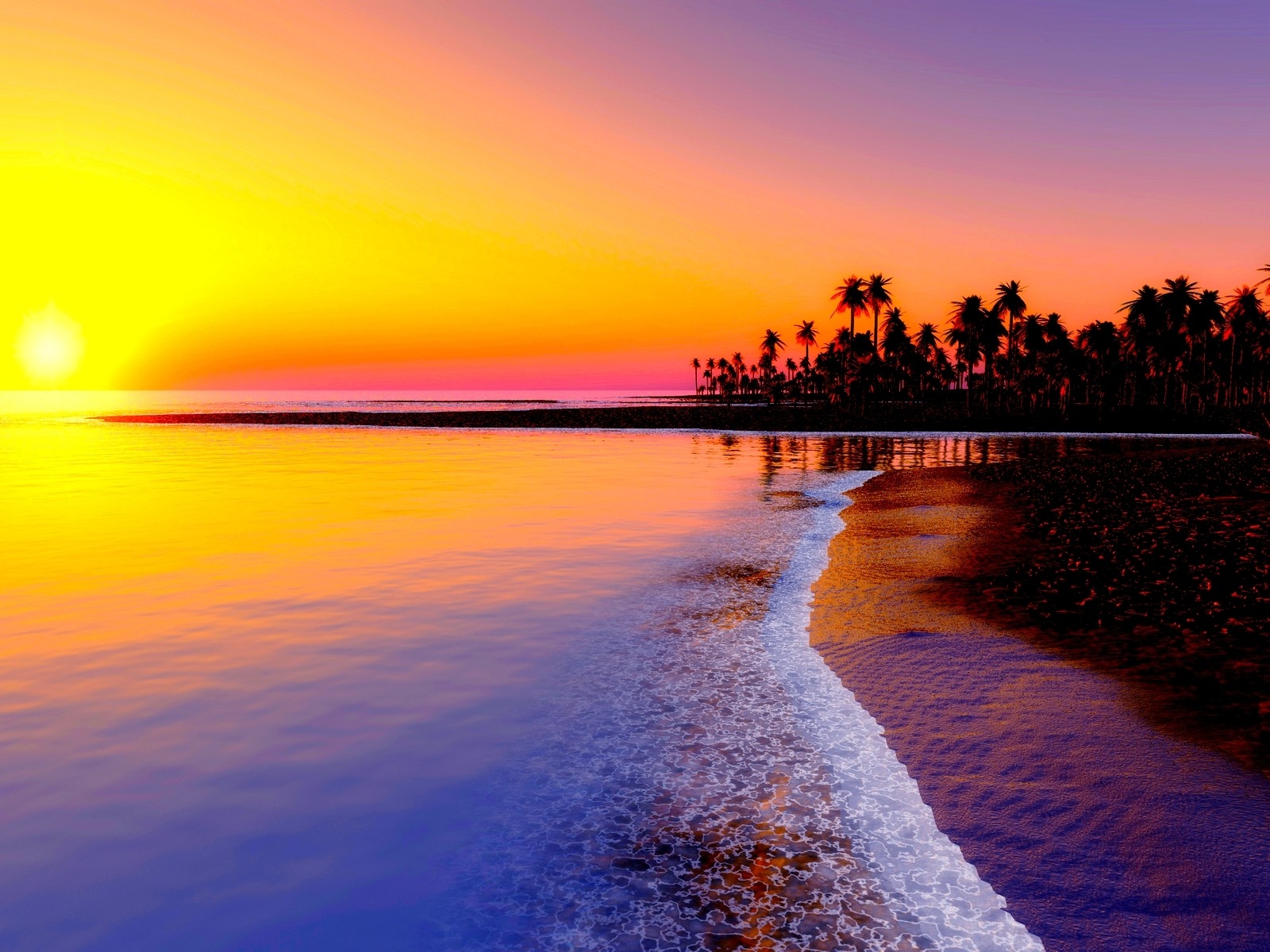 Beach Tropics Palm Trees Sunset Hot Summer Photo Wallpaper