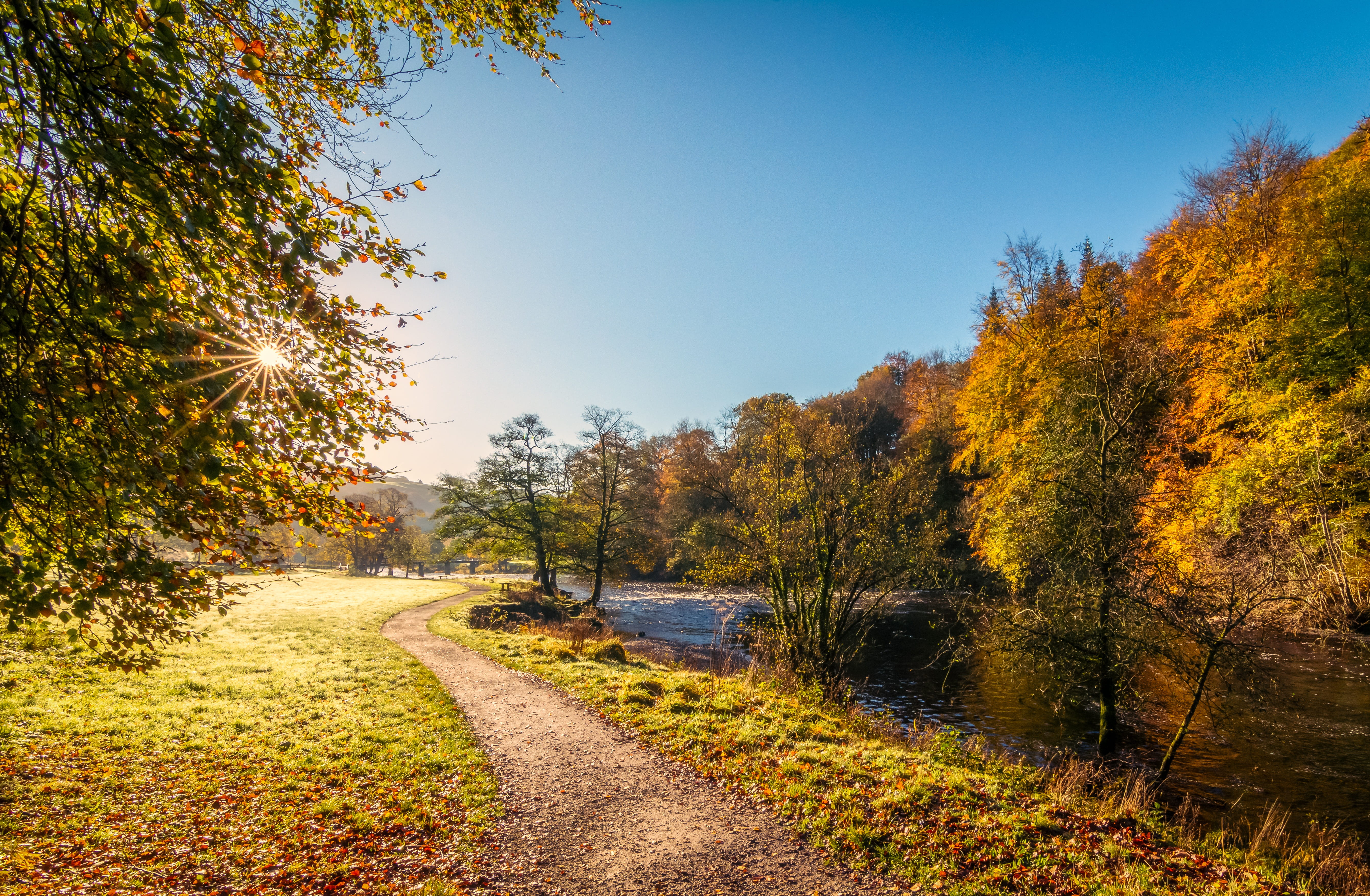 Wallpaper / landscape, uk, autumn collection, orange color, light, day, yorkshire, beauty in nature, autumn leaves, nature, road, tranquility, river, bolton abbey free download