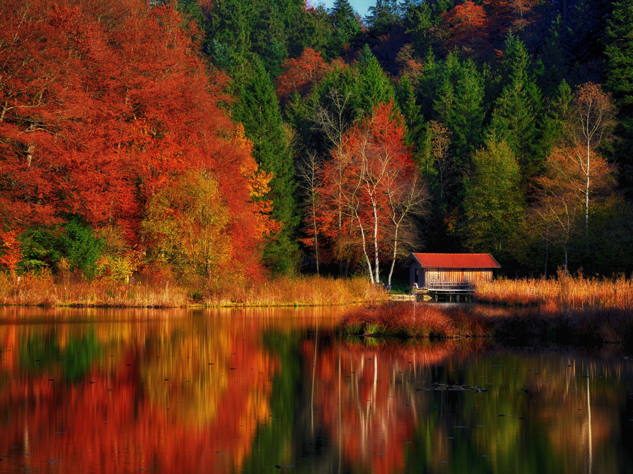 Autumn Scenery Wallpaper 4K, Lakeside, Colourful, Forest