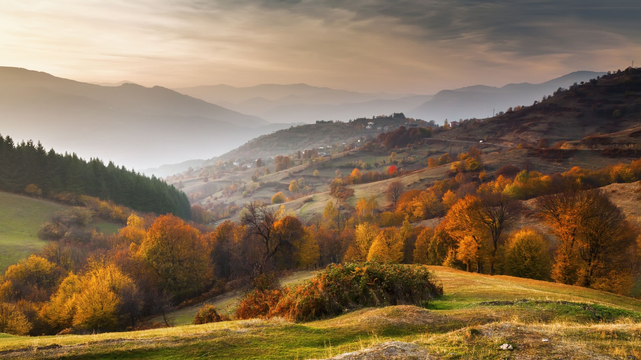 Best Fall Instagram Captions & Cute Autumn Captions