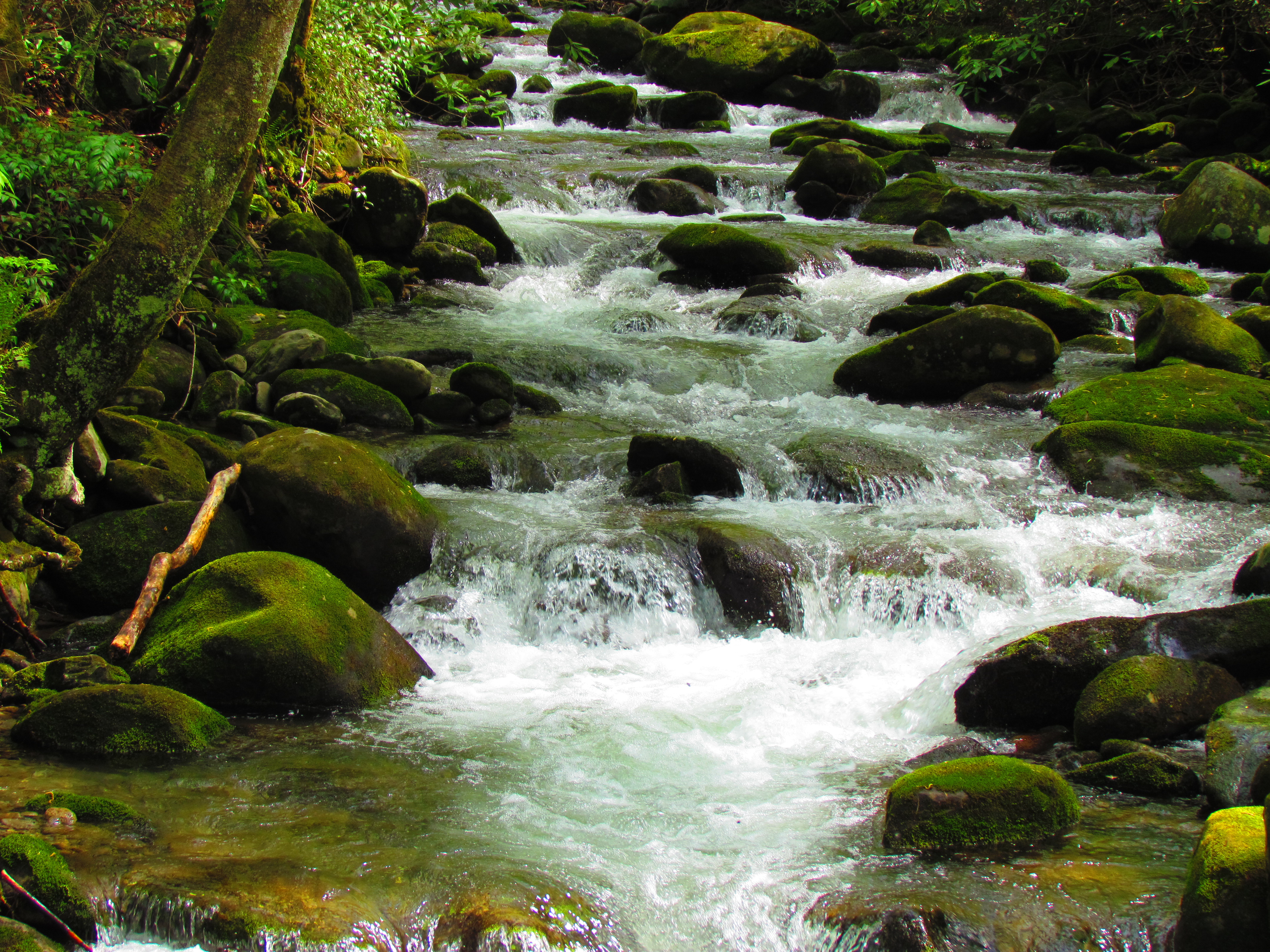 Nature Stream 4k Ultra HD Wallpaper