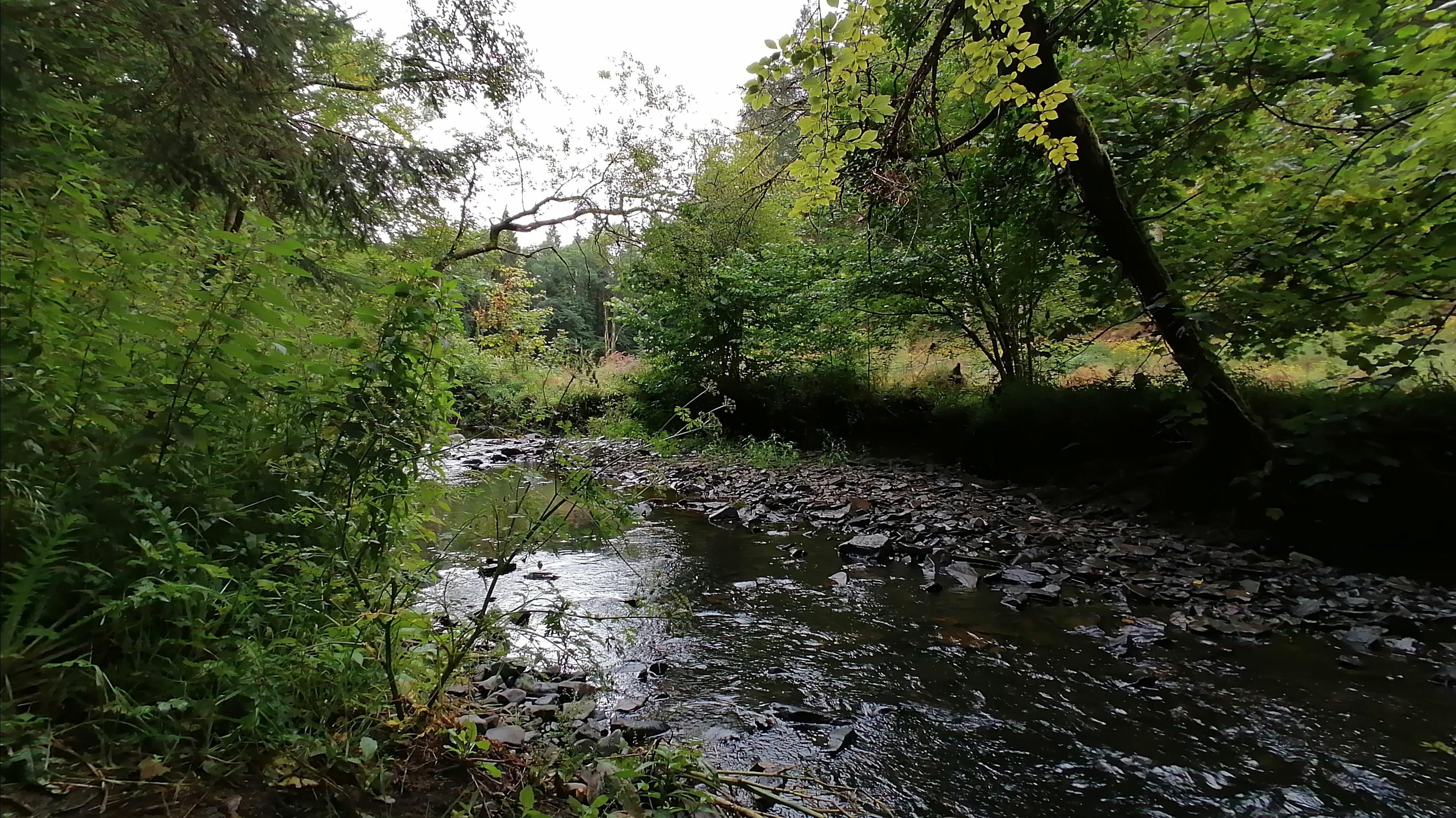 Stream 4K wallpaper for your desktop or mobile screen free and easy to download