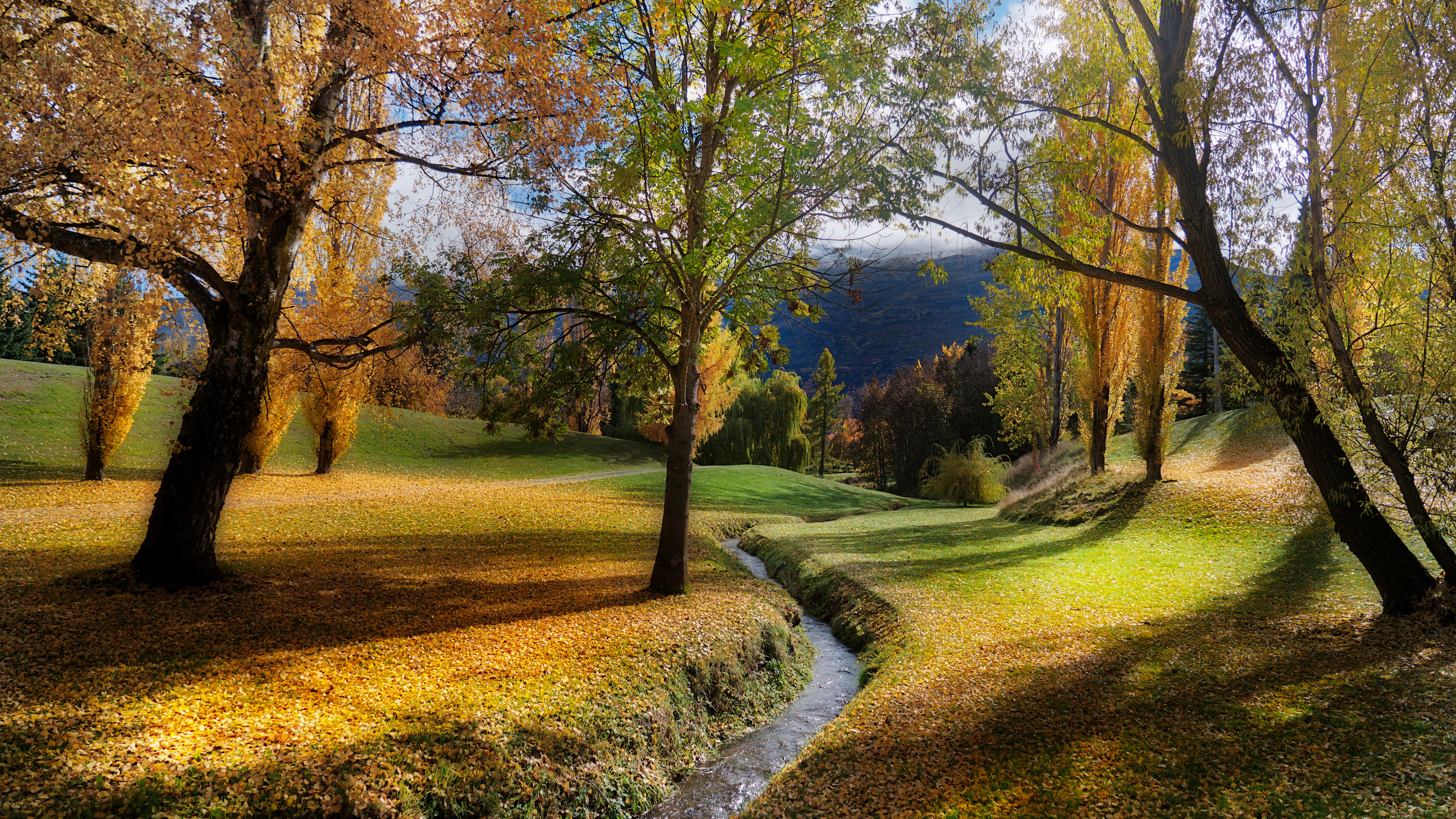 Wallpaper, landscape, 4k, stream, field, trees, fall, arrowtown, New Zealand 3840x2160