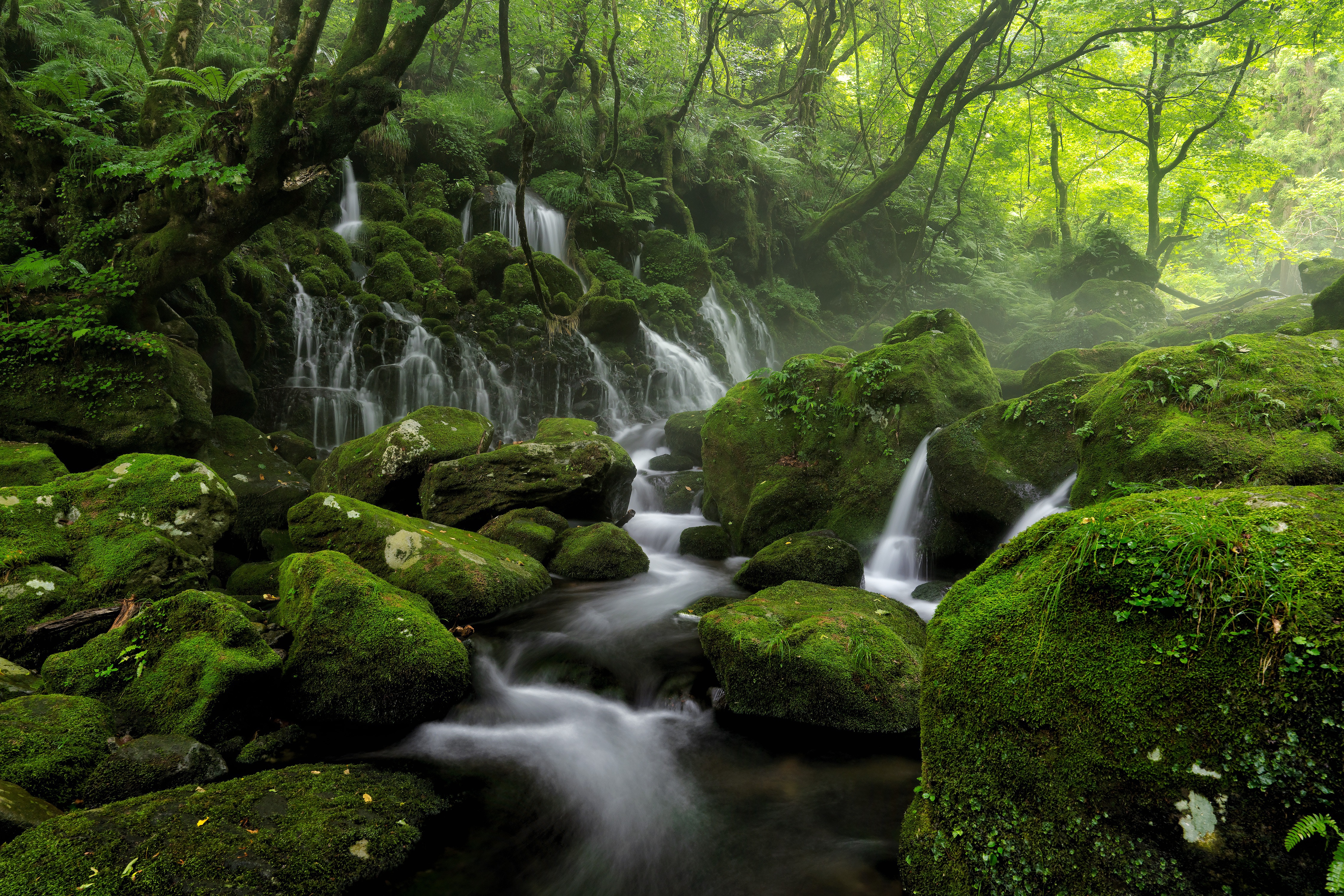 Nature Stream 4k Ultra HD Wallpaper