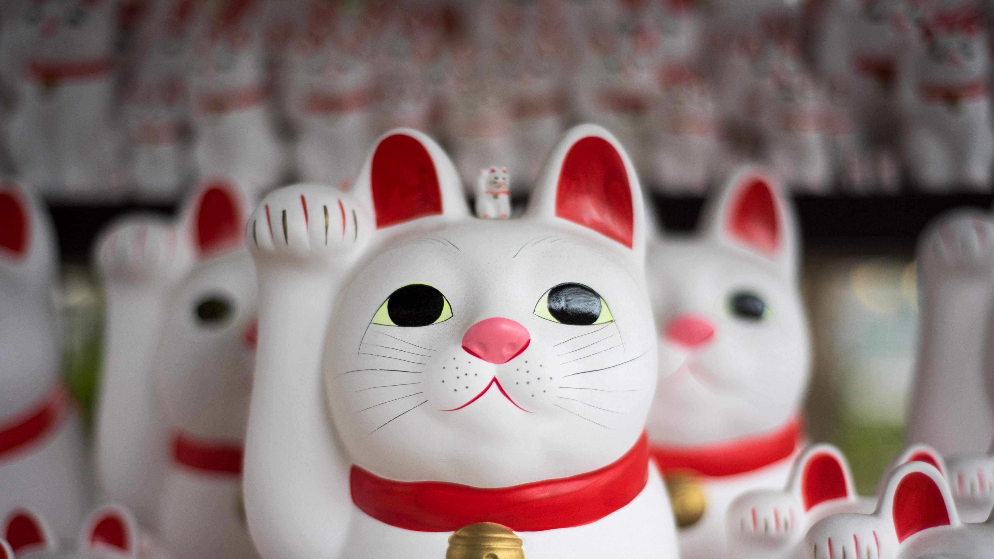 Wallpaper / a number of japanese maneki neko figurines depicting a beckoning white cat, japanese cat figurines 4k wallpaper free download