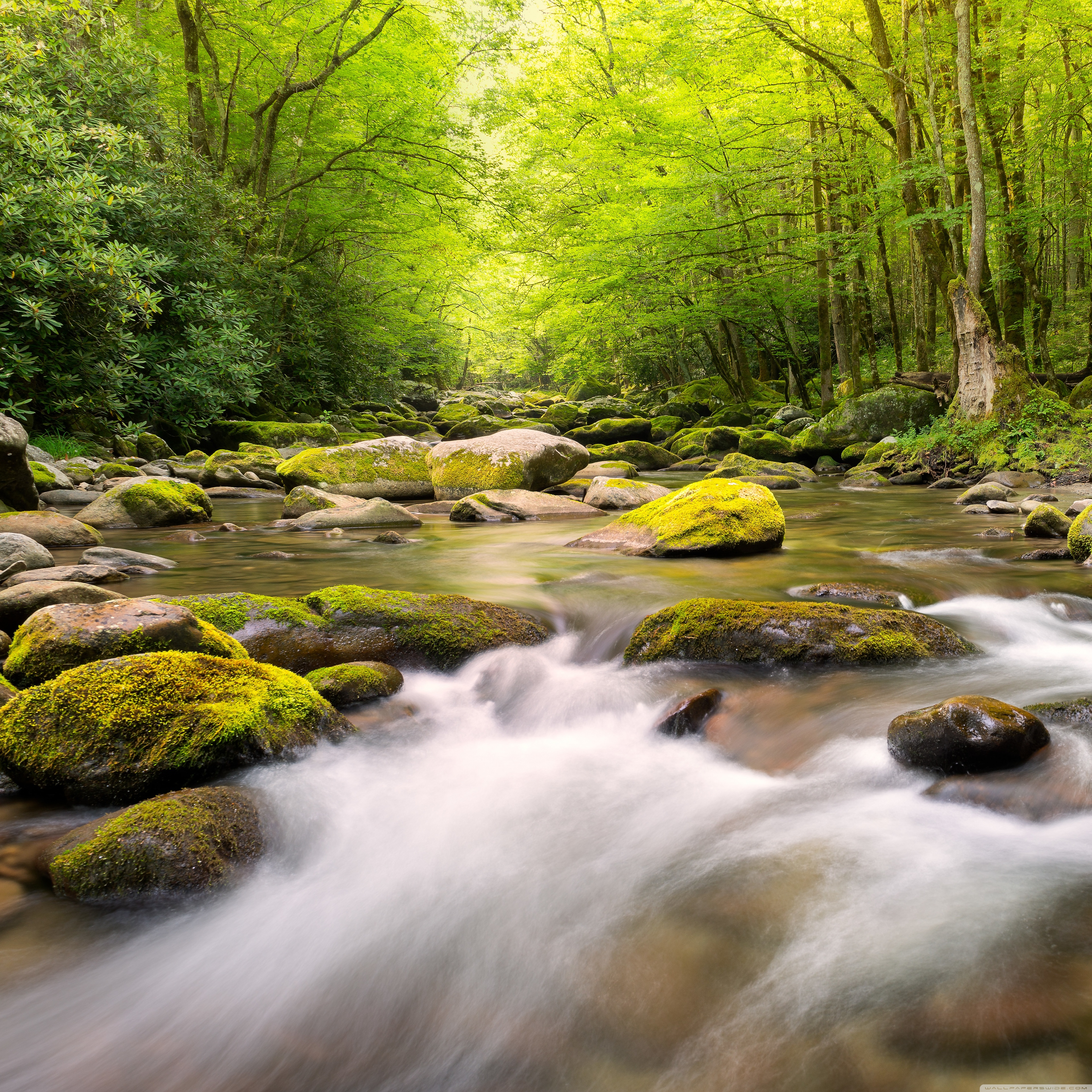 Mountain Stream Ultra HD Desktop Background Wallpaper for 4K UHD TV, Widescreen & UltraWide Desktop & Laptop, Multi Display, Dual Monitor, Tablet