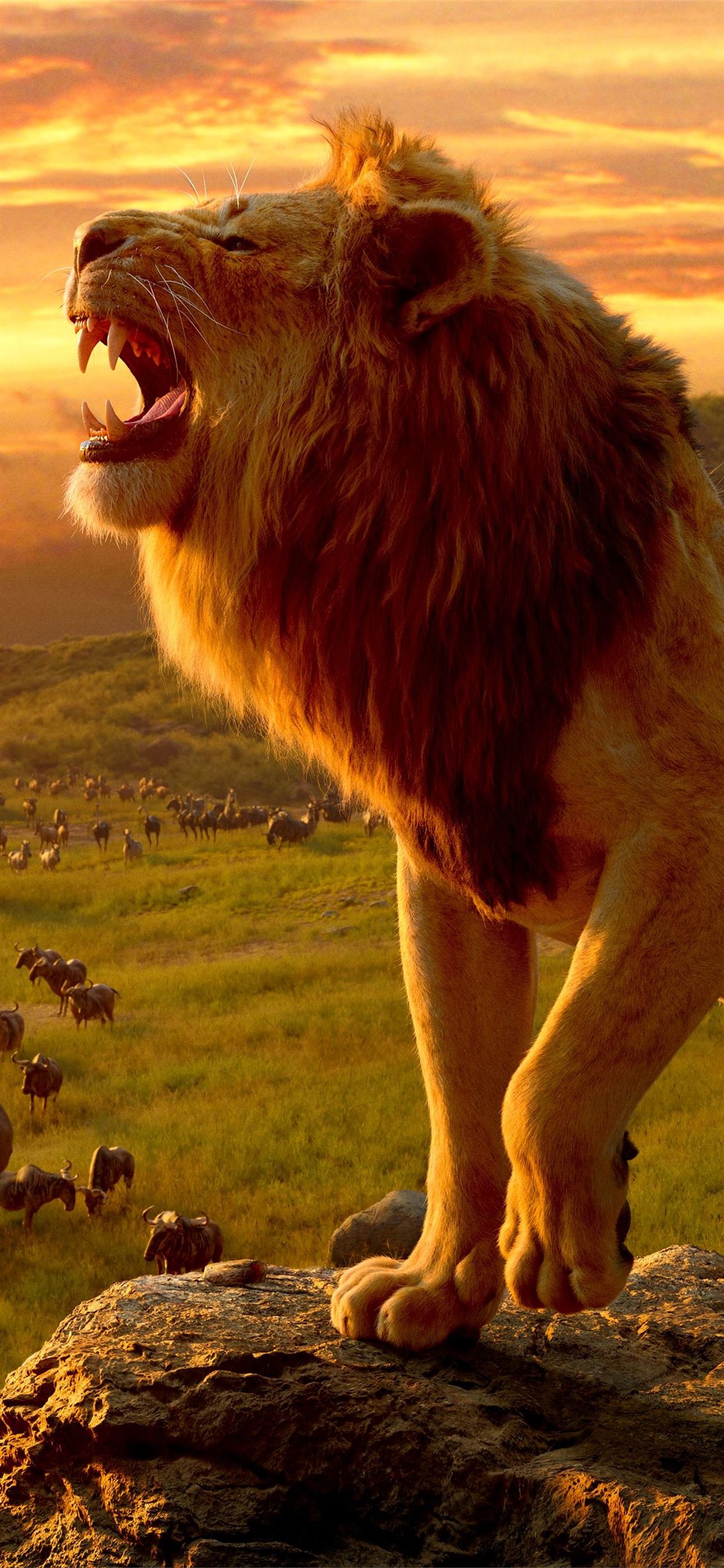 Lion Phone Top Free Lion Phone Background Access iPhone Wallpaper Free Download