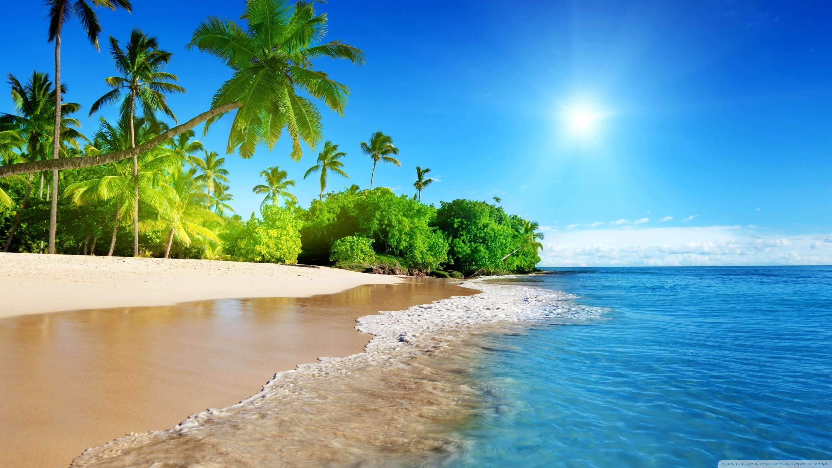 Beach, Tropical Island Ultra HD Desktop Background Wallpaper for 4K UHD TV, Multi Display, Dual Monitor, Tablet