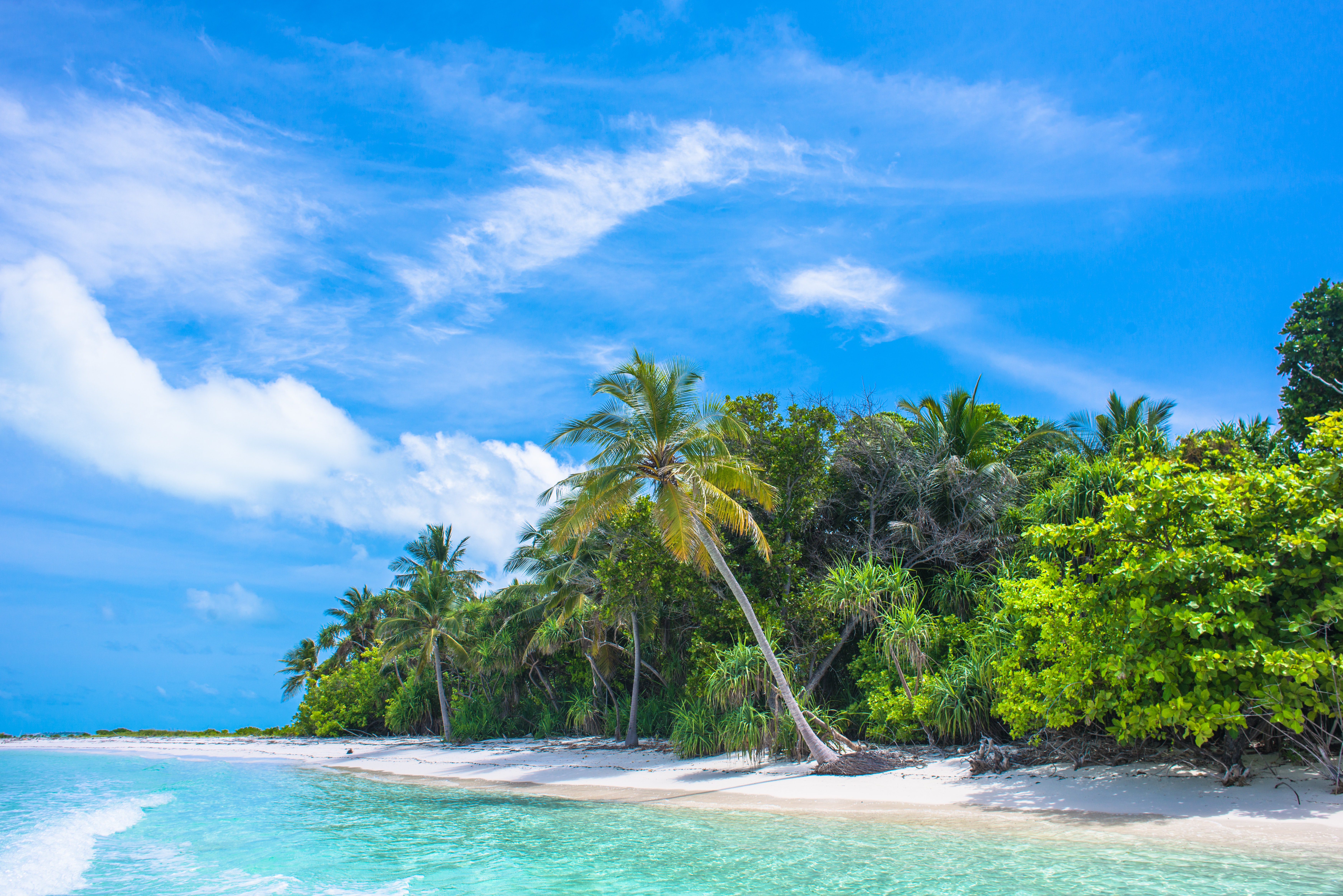 Tropical Island Photo, Download The BEST Free Tropical Island & HD Image