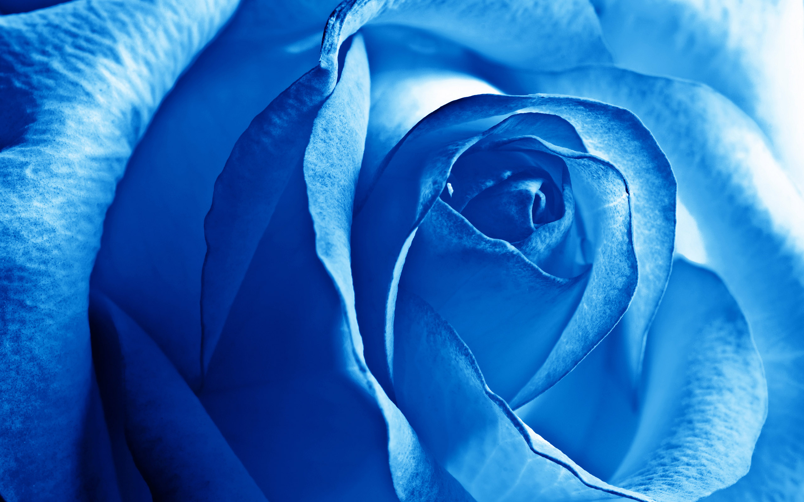 of Blue1 4K wallpaper for your desktop or mobile screen