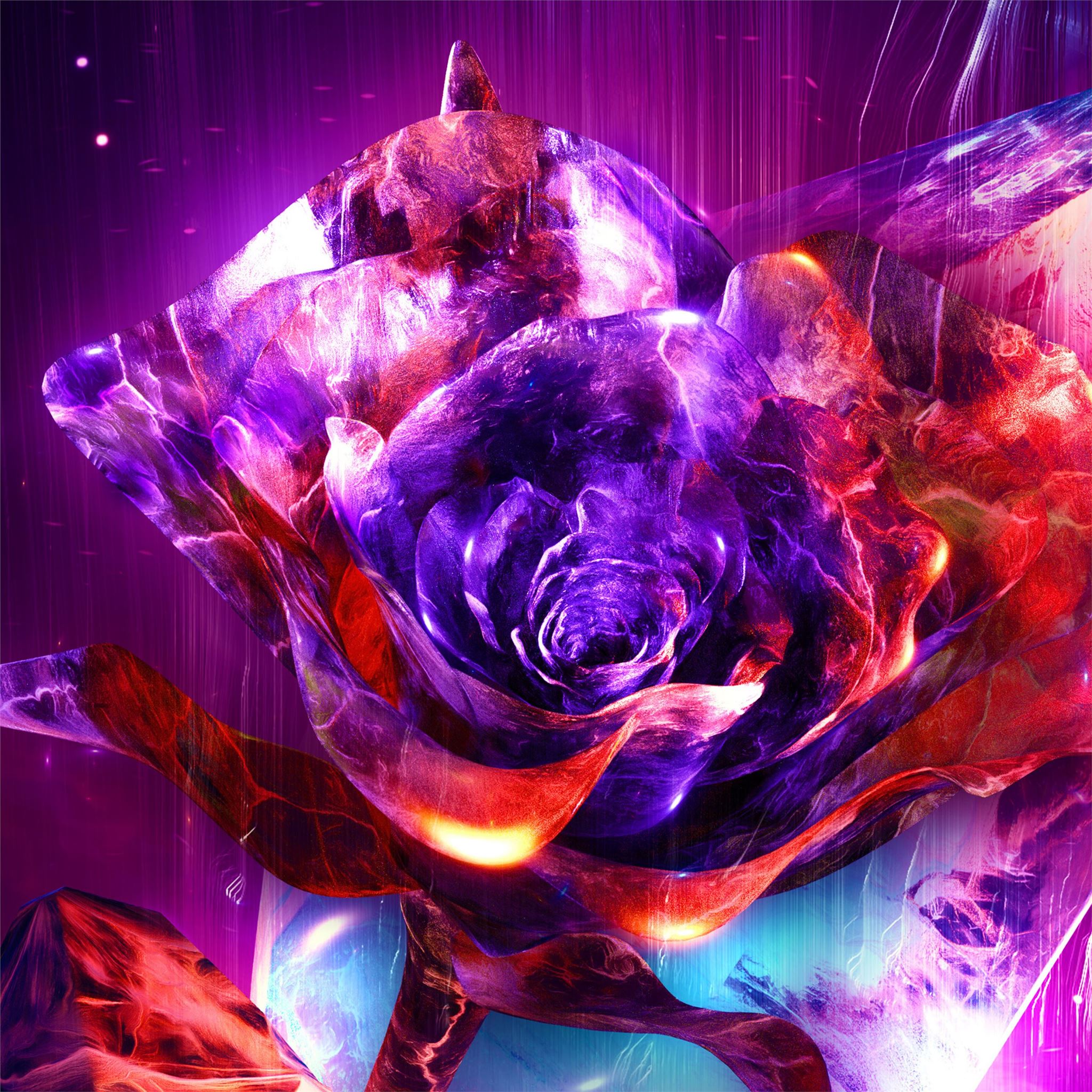 Latest Rose iPad Air HD Wallpaper