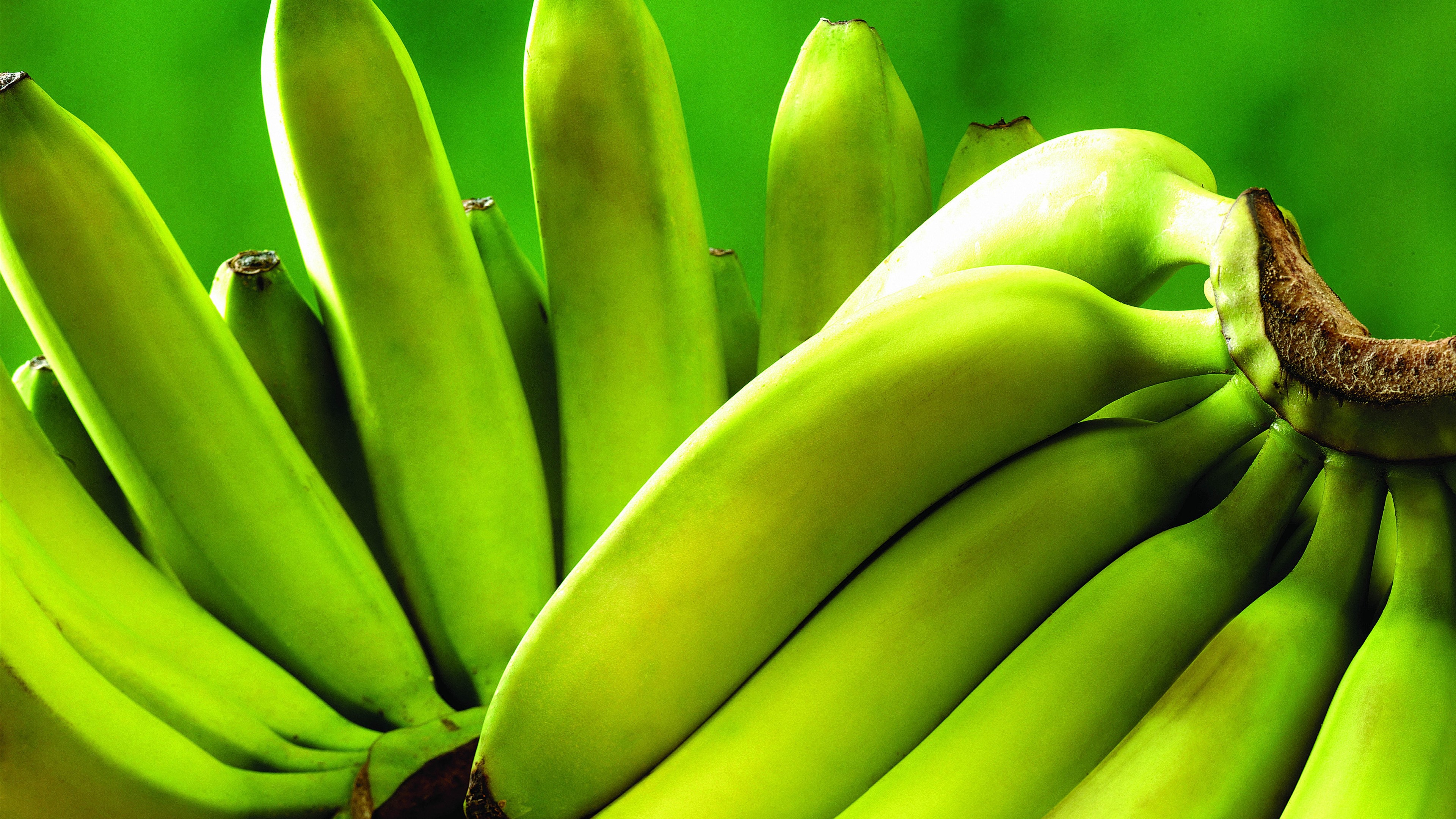 Wallpaper Green bananas, unripe 3840x2160 UHD 4K Picture, Image
