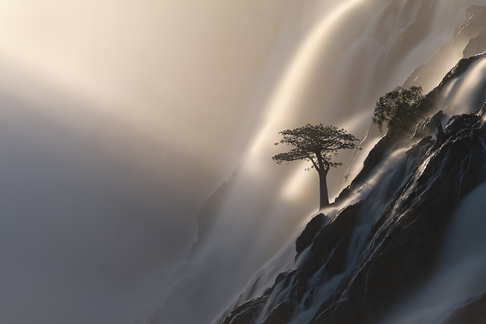 Baobab Tree Between Waterfall