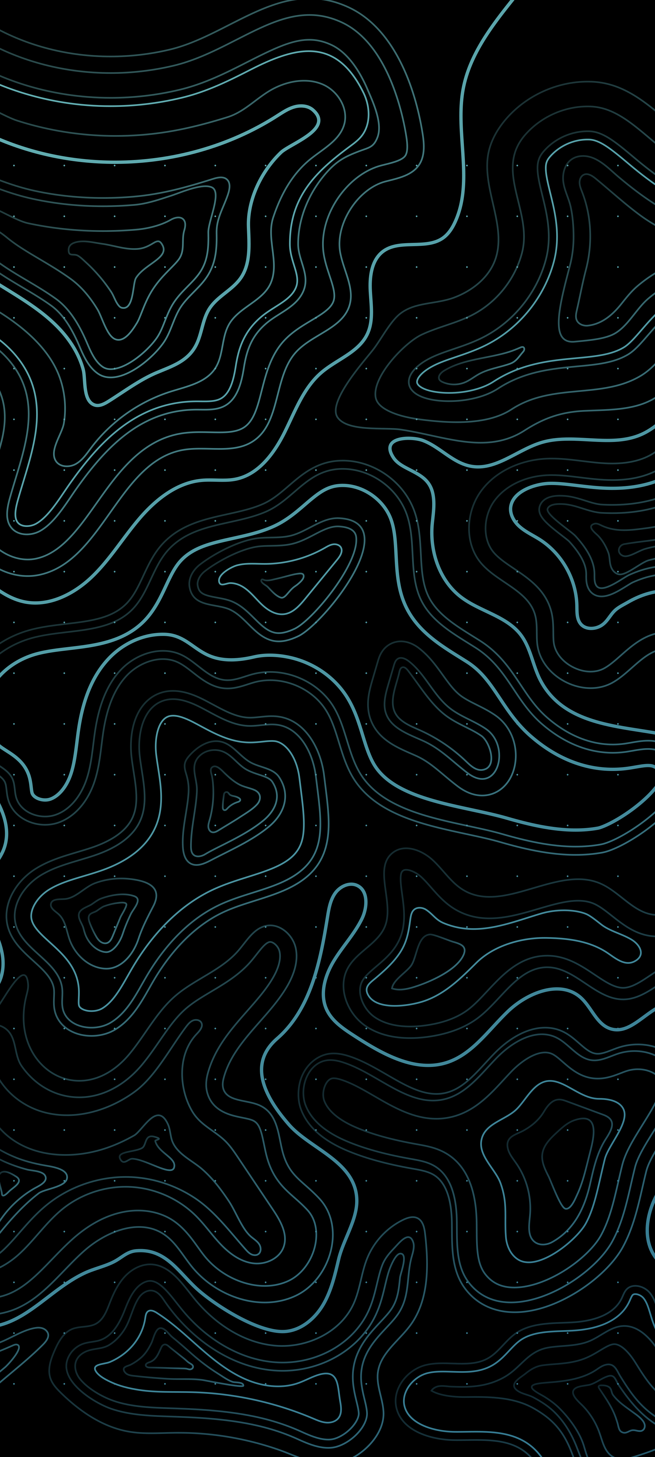 Topographic pattern (2160x4800)