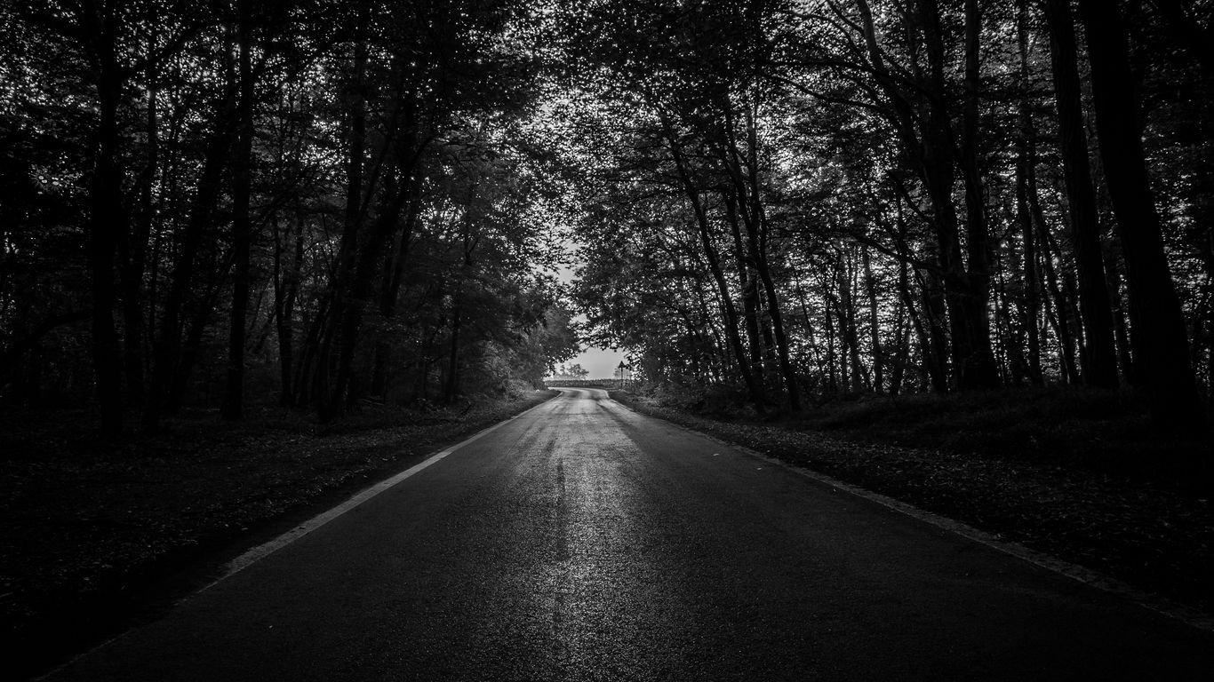 Download wallpaper 1366x768 road, trees, bw, dark, forest tablet, laptop HD background