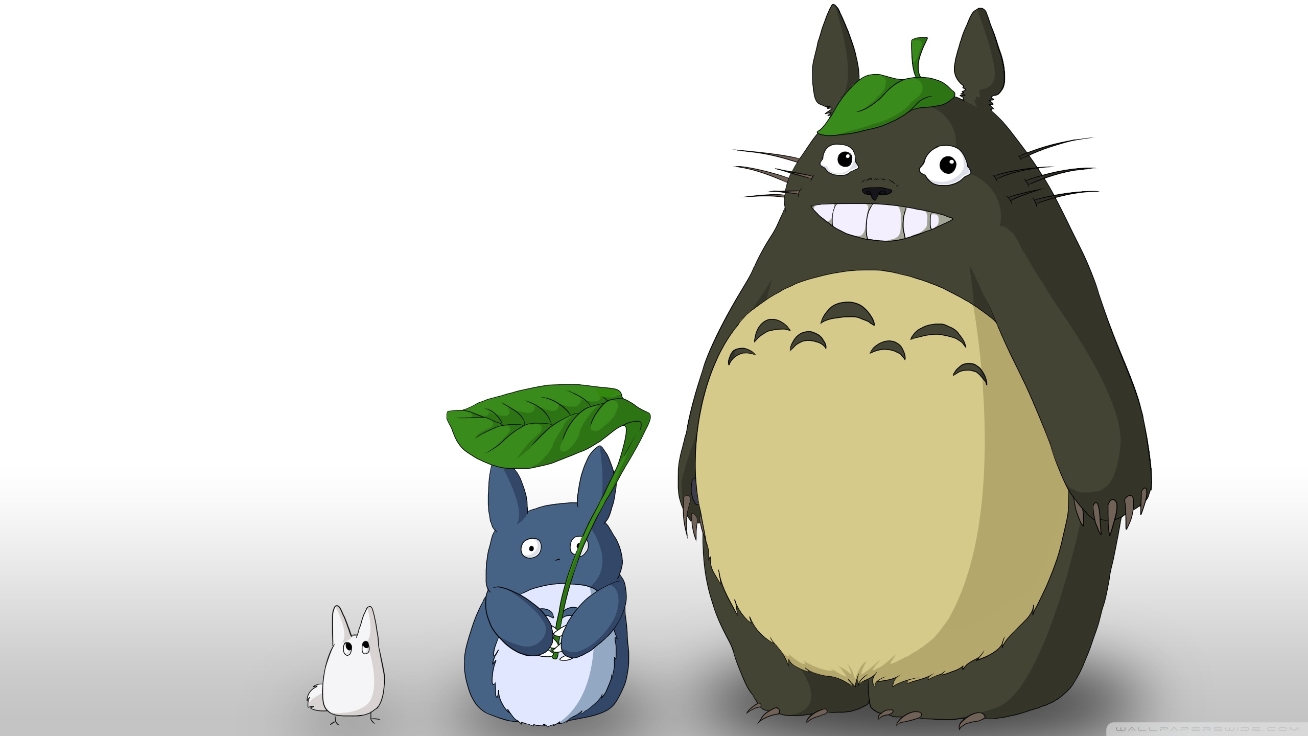 My Neighbour Totoro Ultra HD Desktop