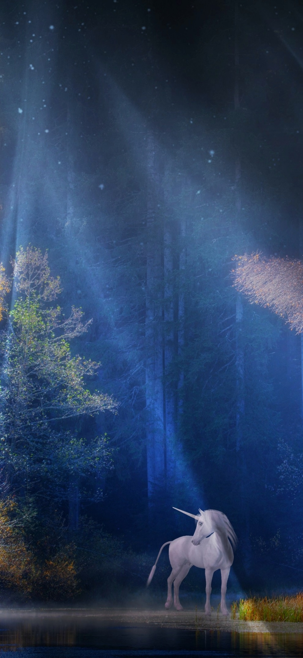 Unicorn Wallpaper 4K, Fairy tale, Mythical, Light beam