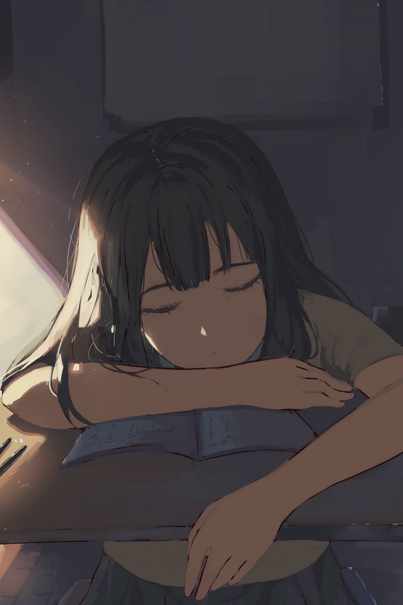 Download Wallpaper 800x1200 Girl, Sleep, Study, Anime Iphone 4s 4 For Parallax HD Background