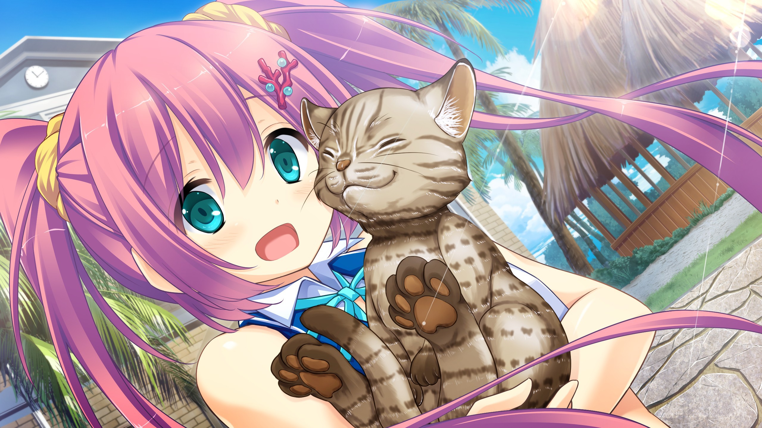 The girl with a cat Shikumi Shango, anime Desktop wallpaper 1024x1024