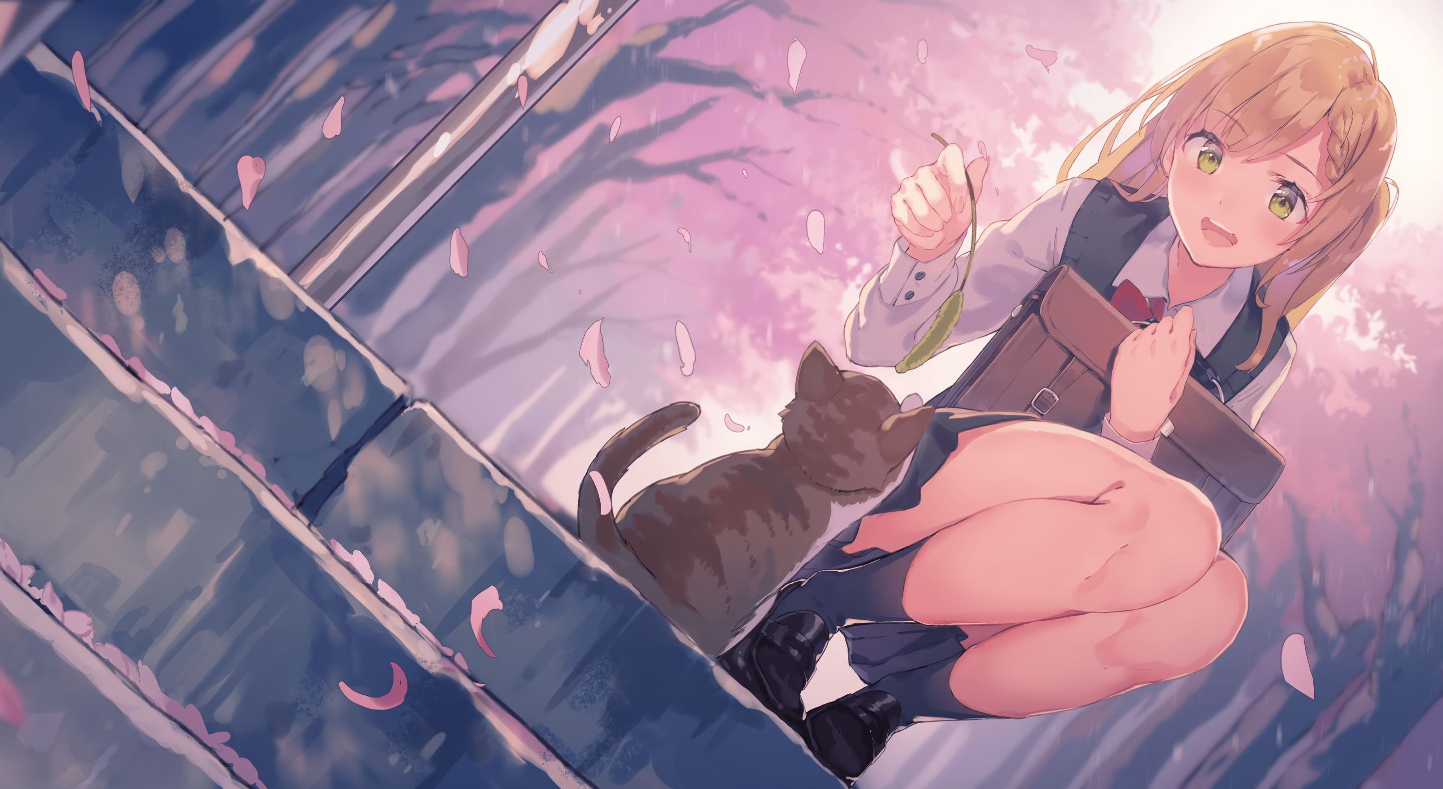 HD desktop wallpaper: Anime, Sakura, Cat, Original download free picture