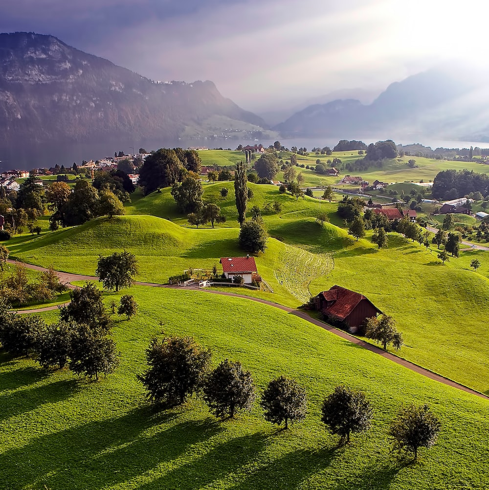 Rural Landscape Picture. Download Free Image