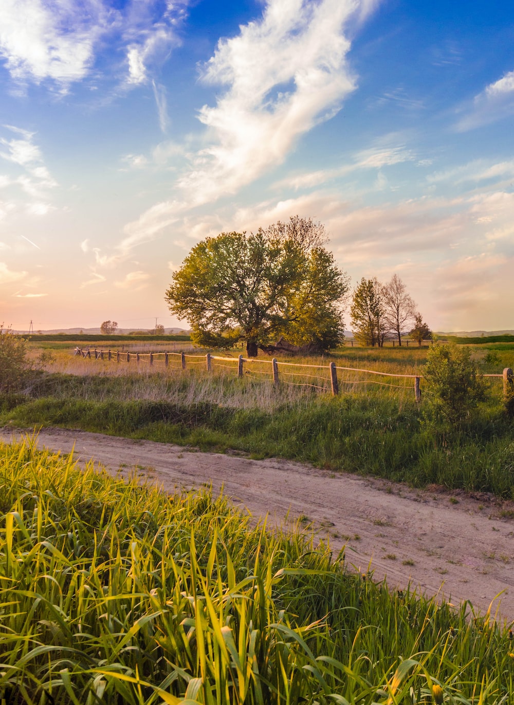 Rural Landscape Picture. Download Free Image