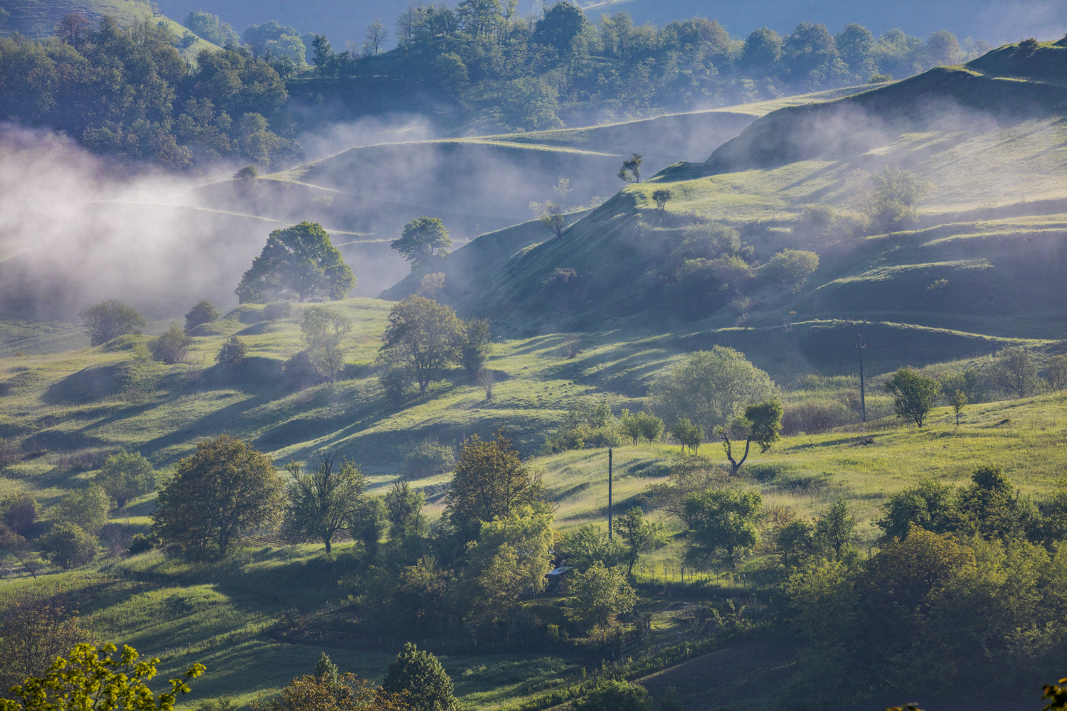 Rural Landscape Photography Tips (+ Examples)