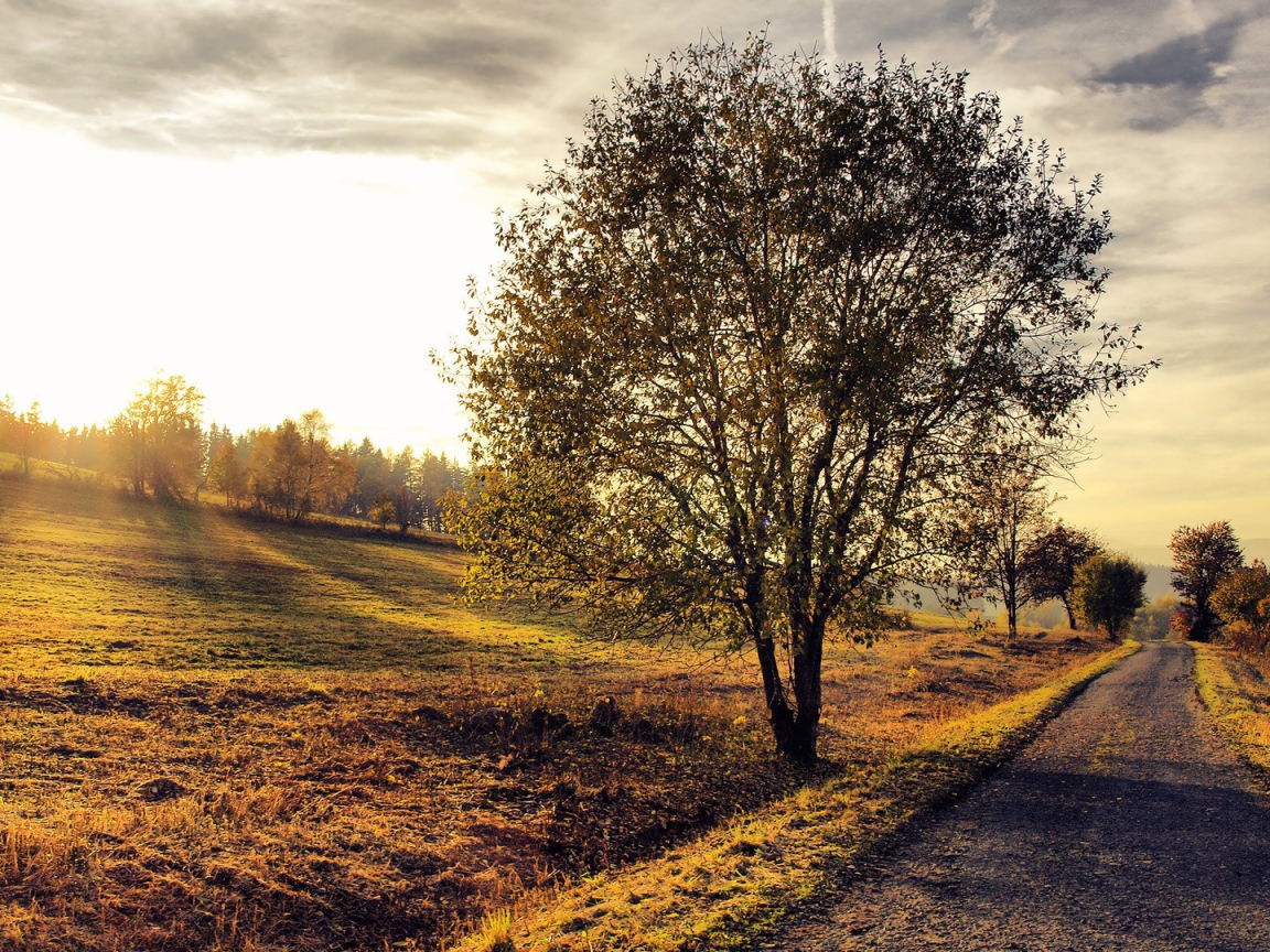 Rural landscape at sunset Desktop wallpaper 1152x864