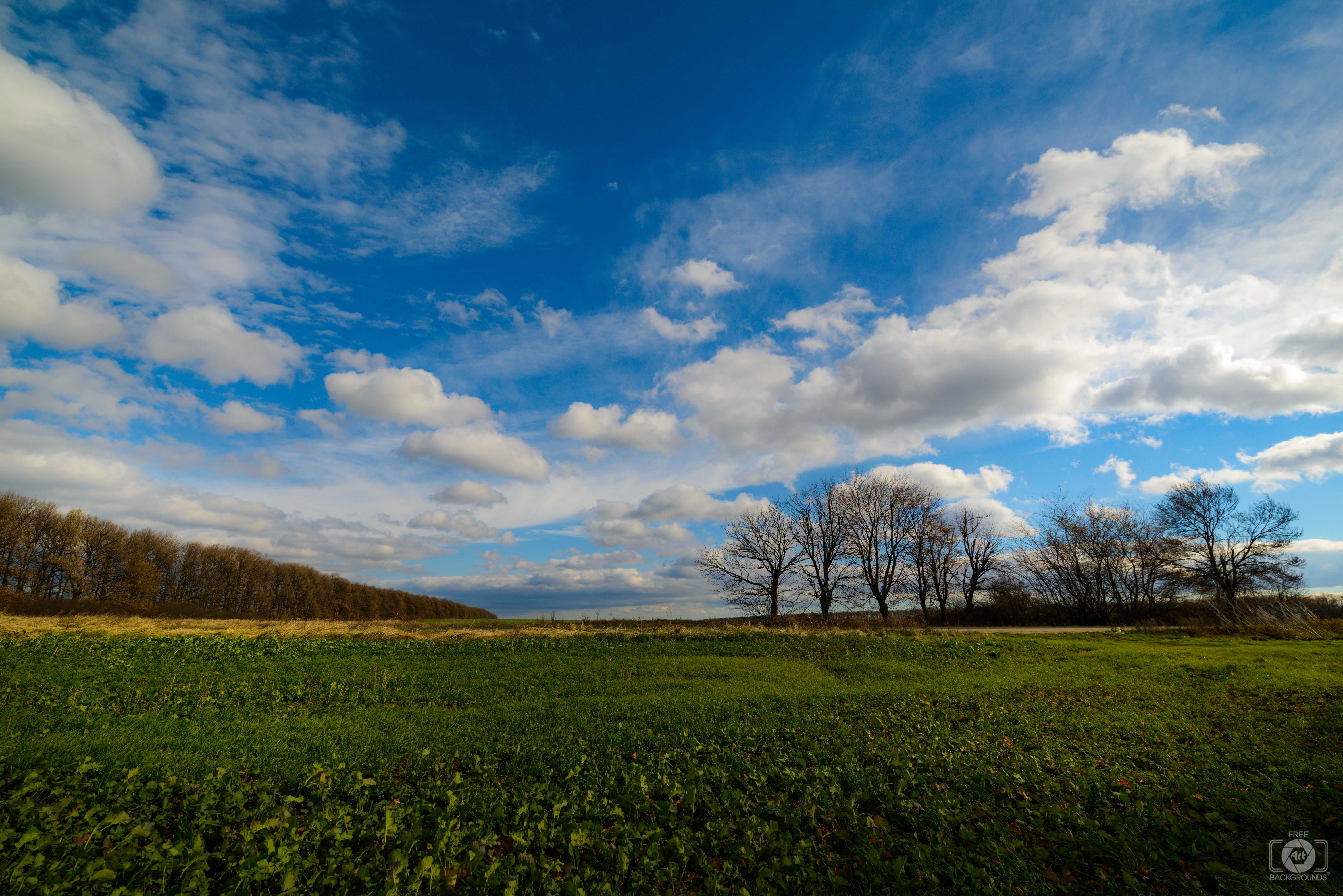 Autumn Rural Landscape Background Quality Free Background