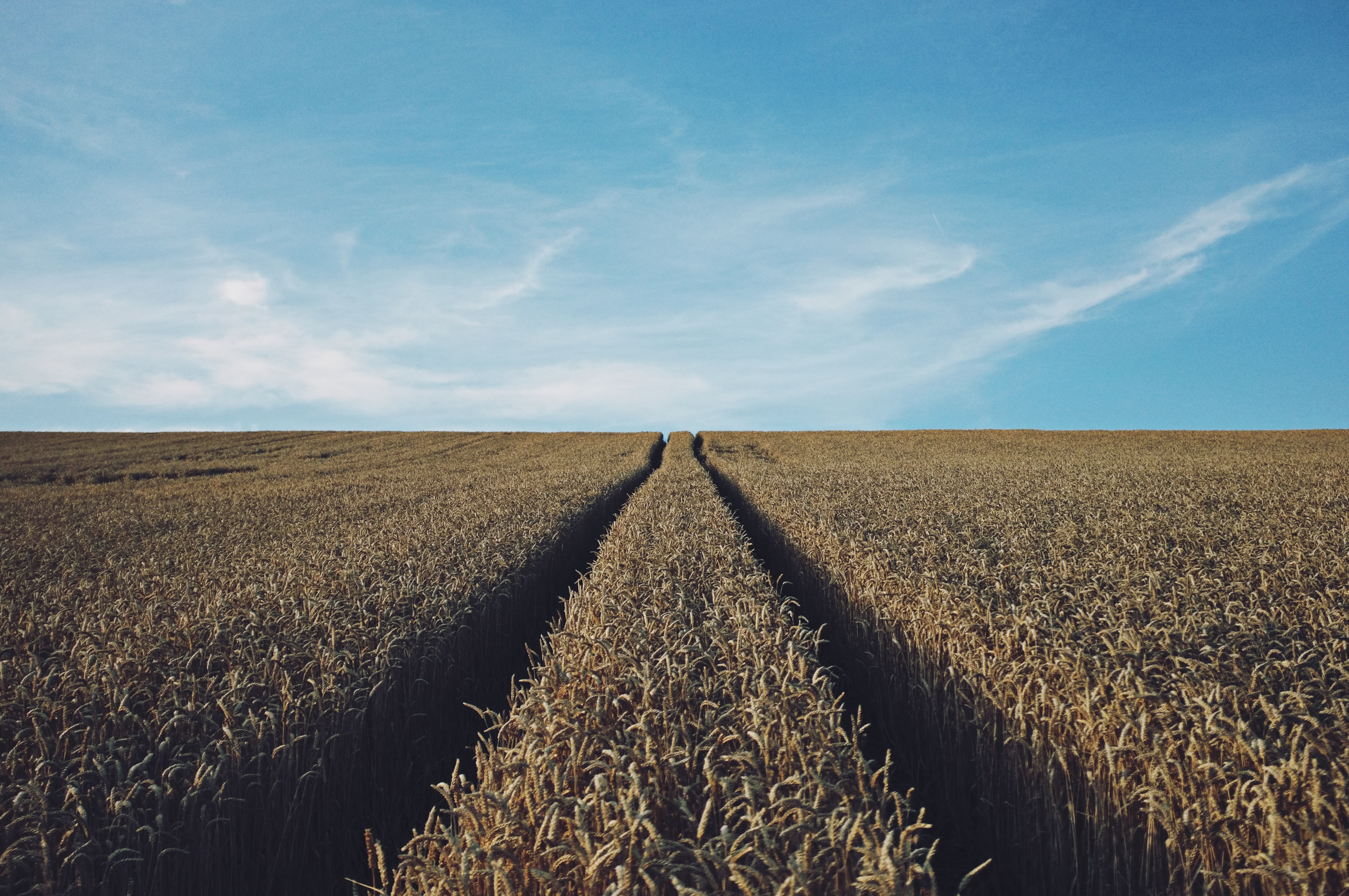 Rural Landscape Picture. Download Free Image