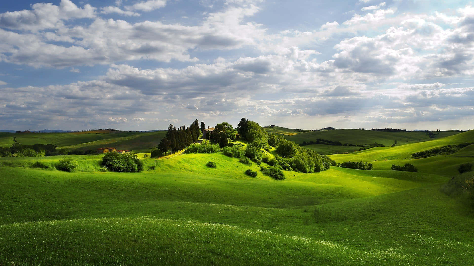 Download Rural Landscape with Grassy Fields