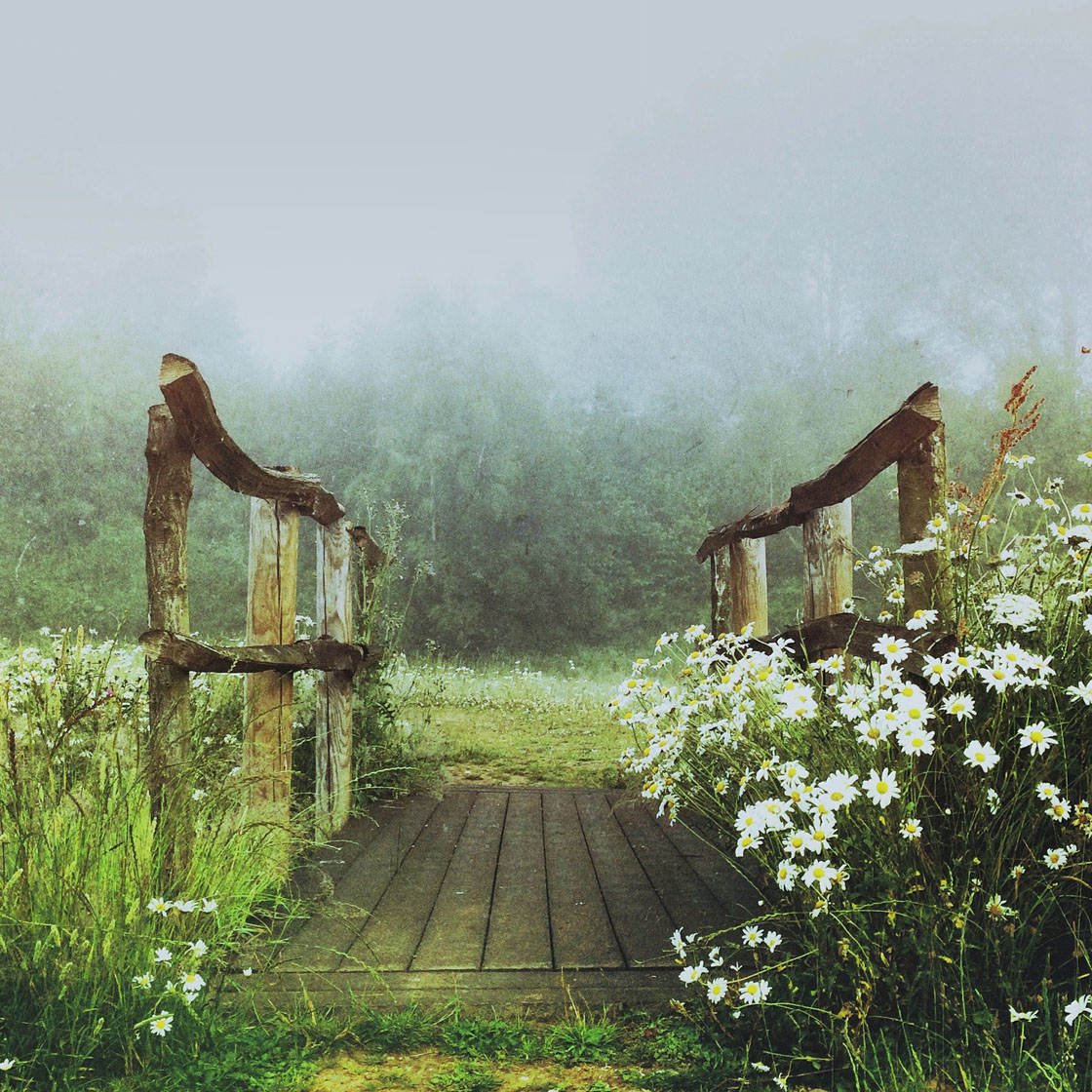 Ways To Improve Your Rural Landscape iPhone Photography