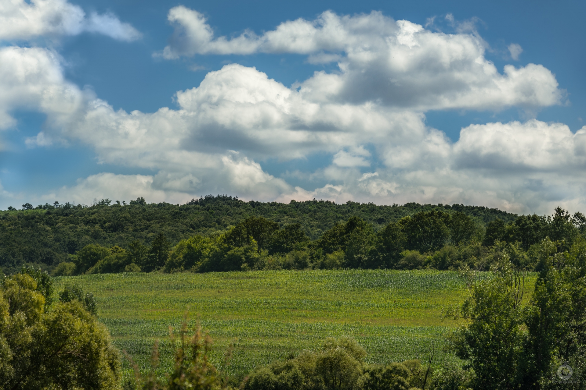 Rural Meadow Landscape Background Quality Free Background