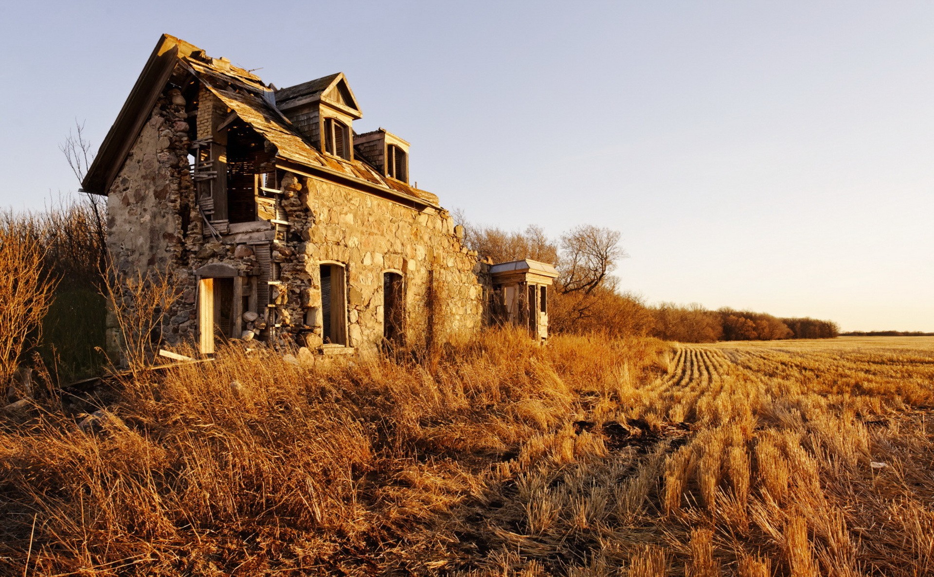 Wallpaper, landscape, old, building, ruin, wood, house, ruins, tree, autumn, agriculture, prairie, rural area, grass family 1920x1186