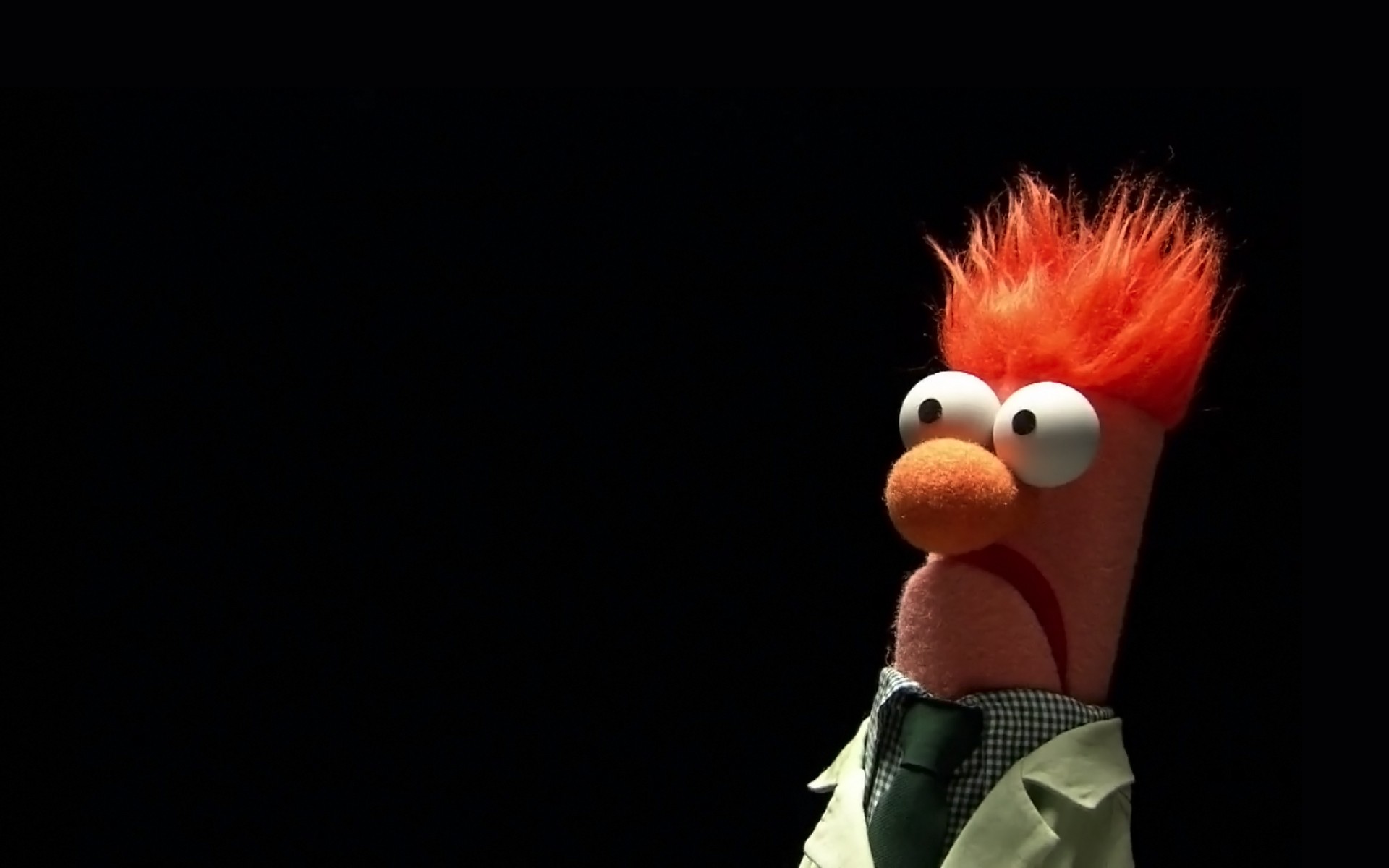The Muppets HD Wallpaper and Background