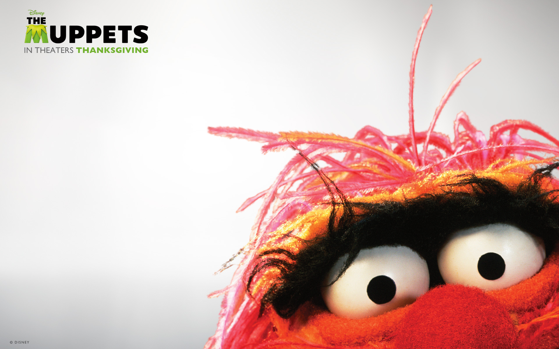 The Muppets HD Wallpaper and Background