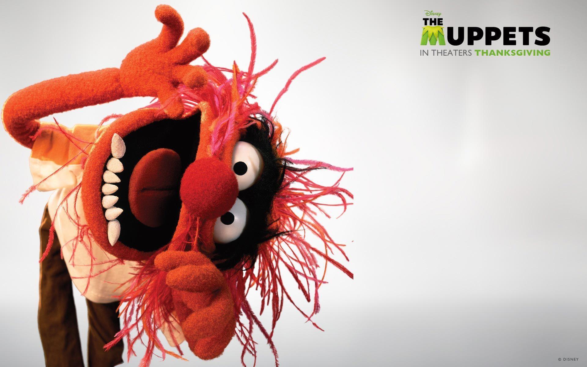 Free download Free download Muppets Wallpaper [1920x1200] for your Desktop [1920x1200] for your Desktop, Mobile & Tablet. Explore Muppets Animal Wallpaper. Animal Background, Muppets Wallpaper, Beaker Muppets Wallpaper