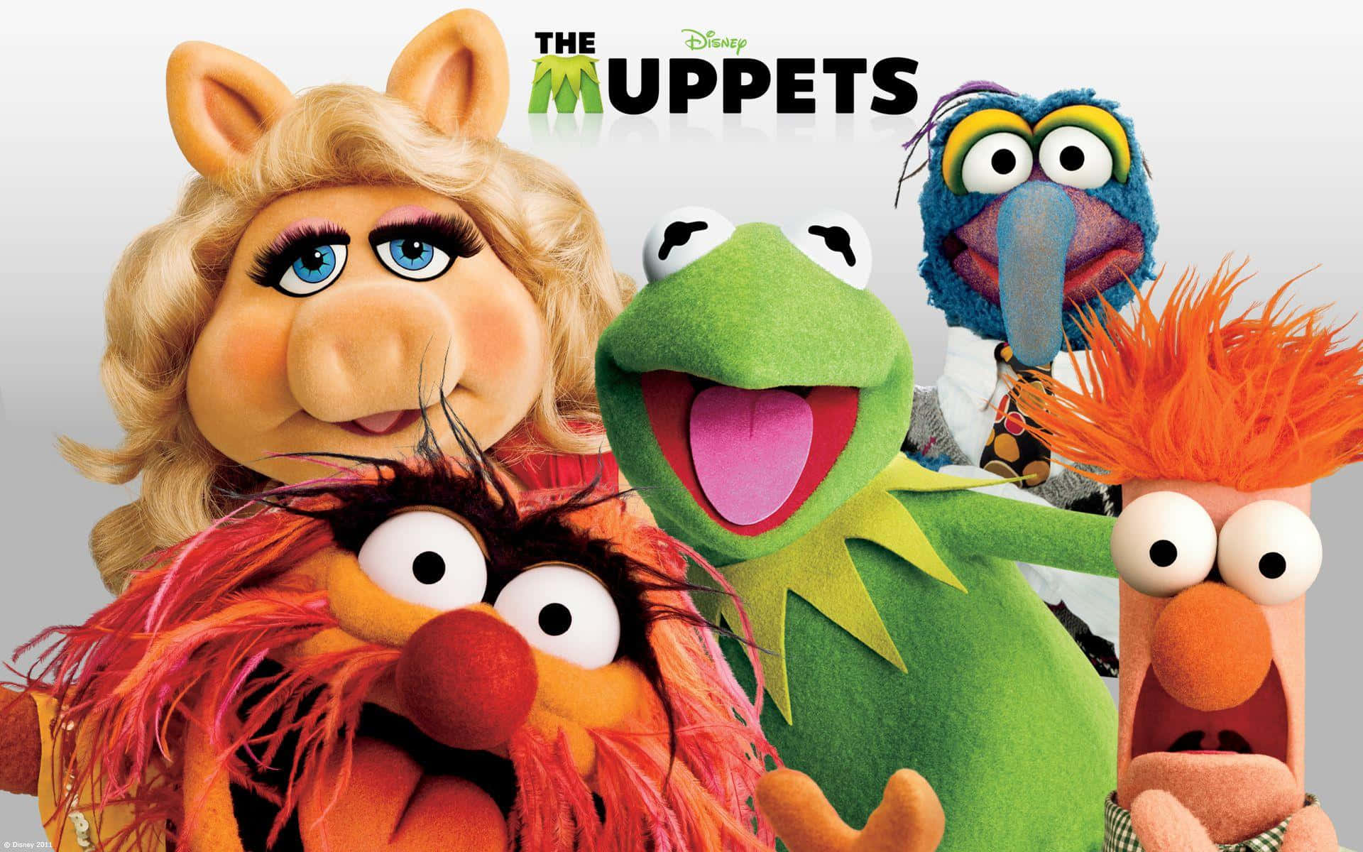 Animal Muppet Wallpaper