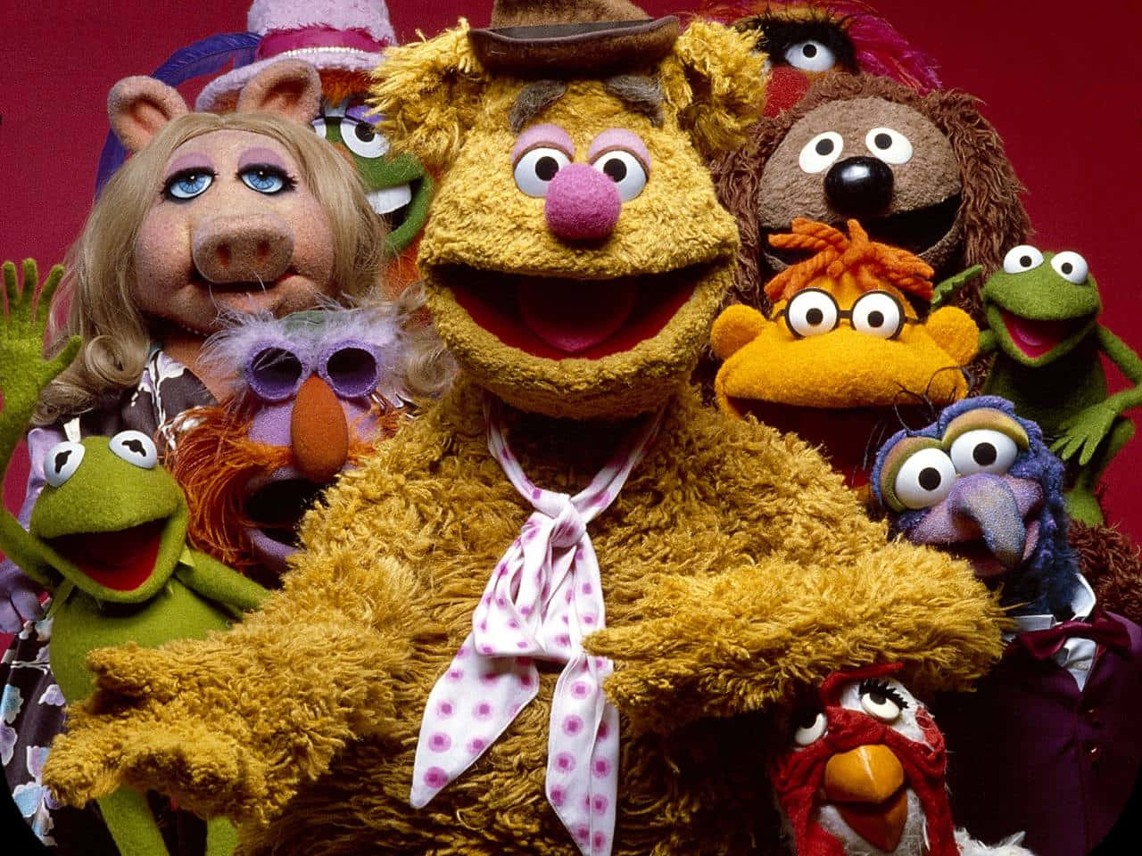 Download Animal Muppet brings smiles and laughter to all Wallpaper
