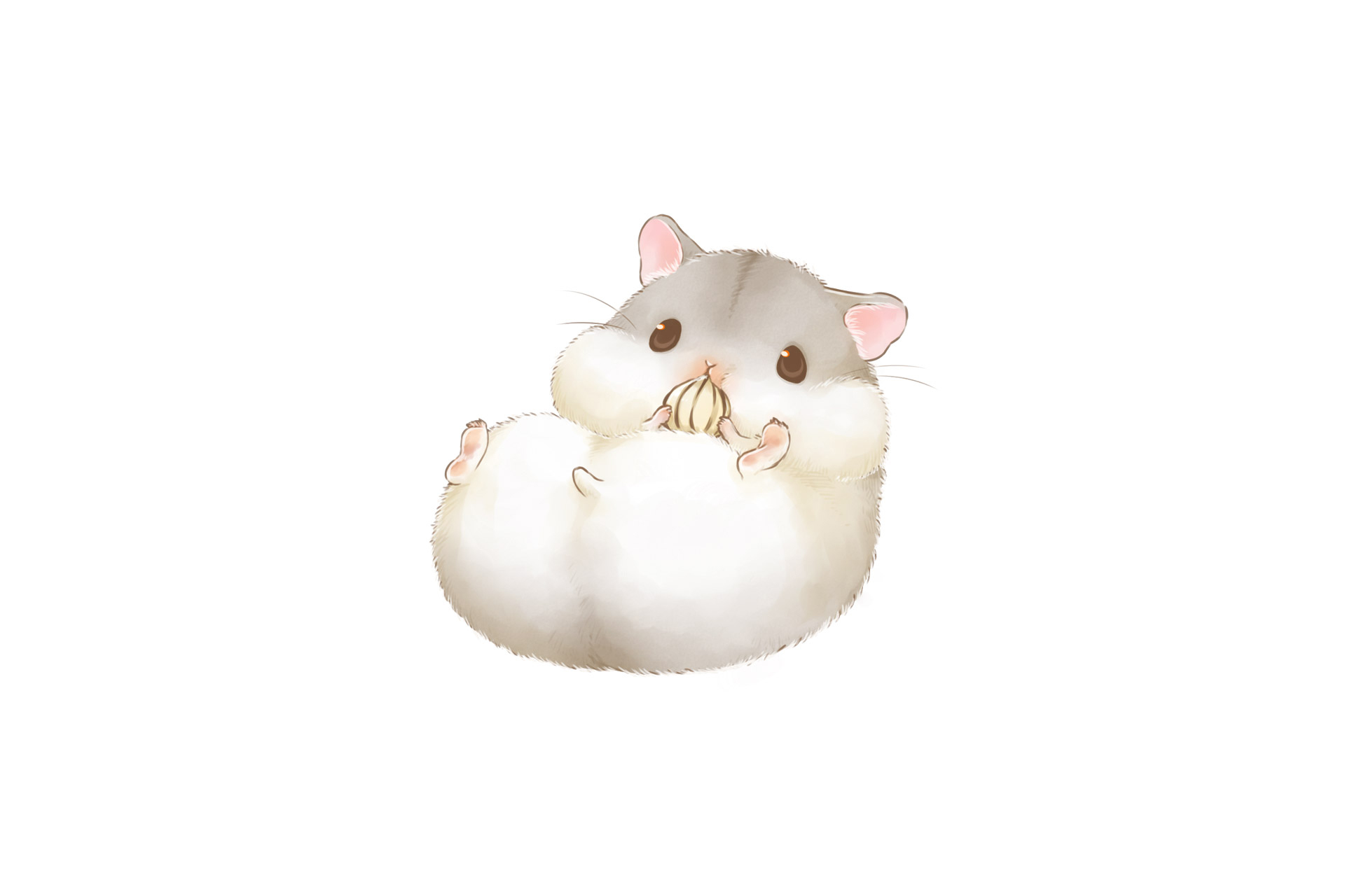 Hamster HD Wallpaper and Background