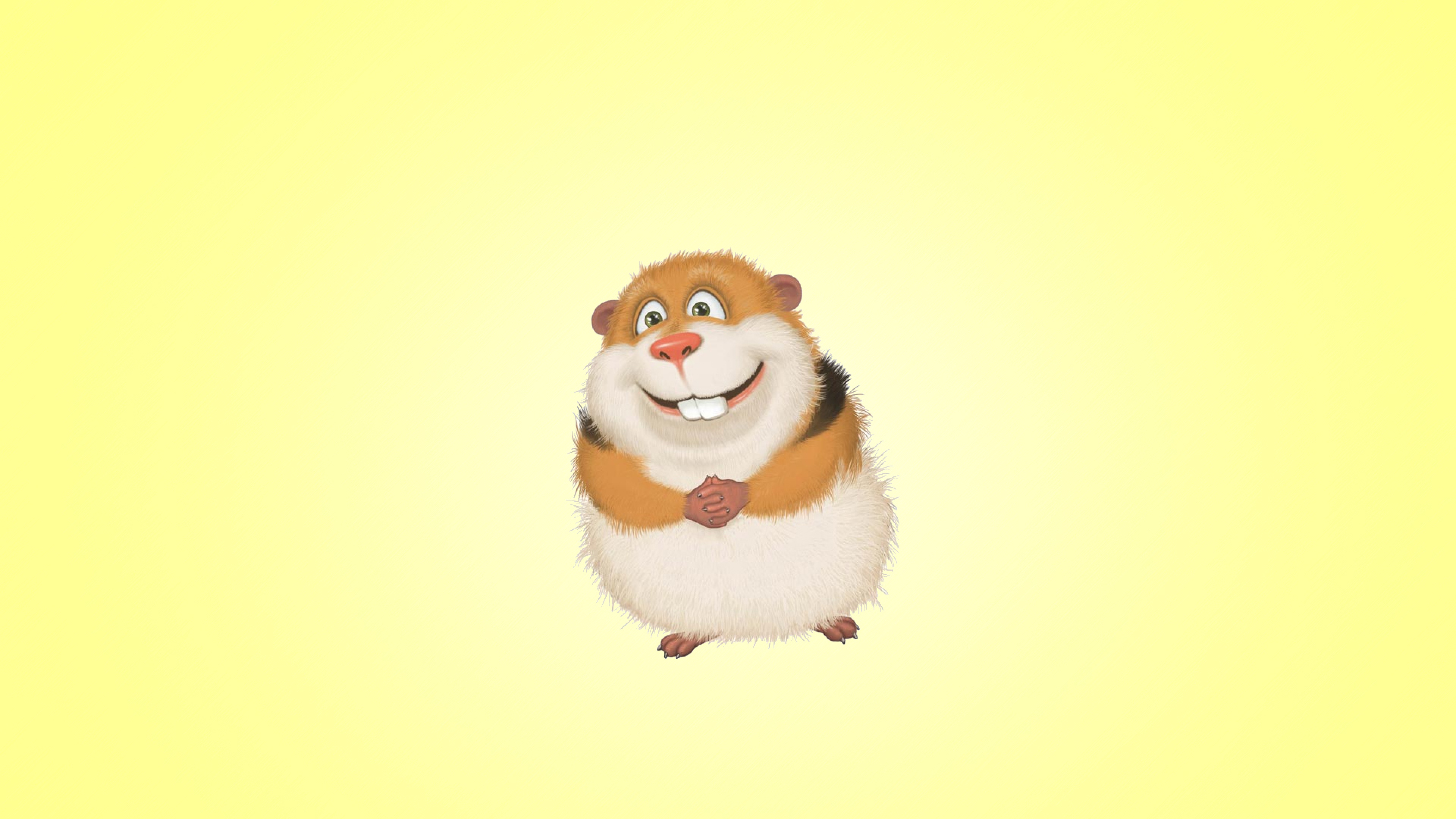 Guinea Pig Hamster Wallpaper, HD