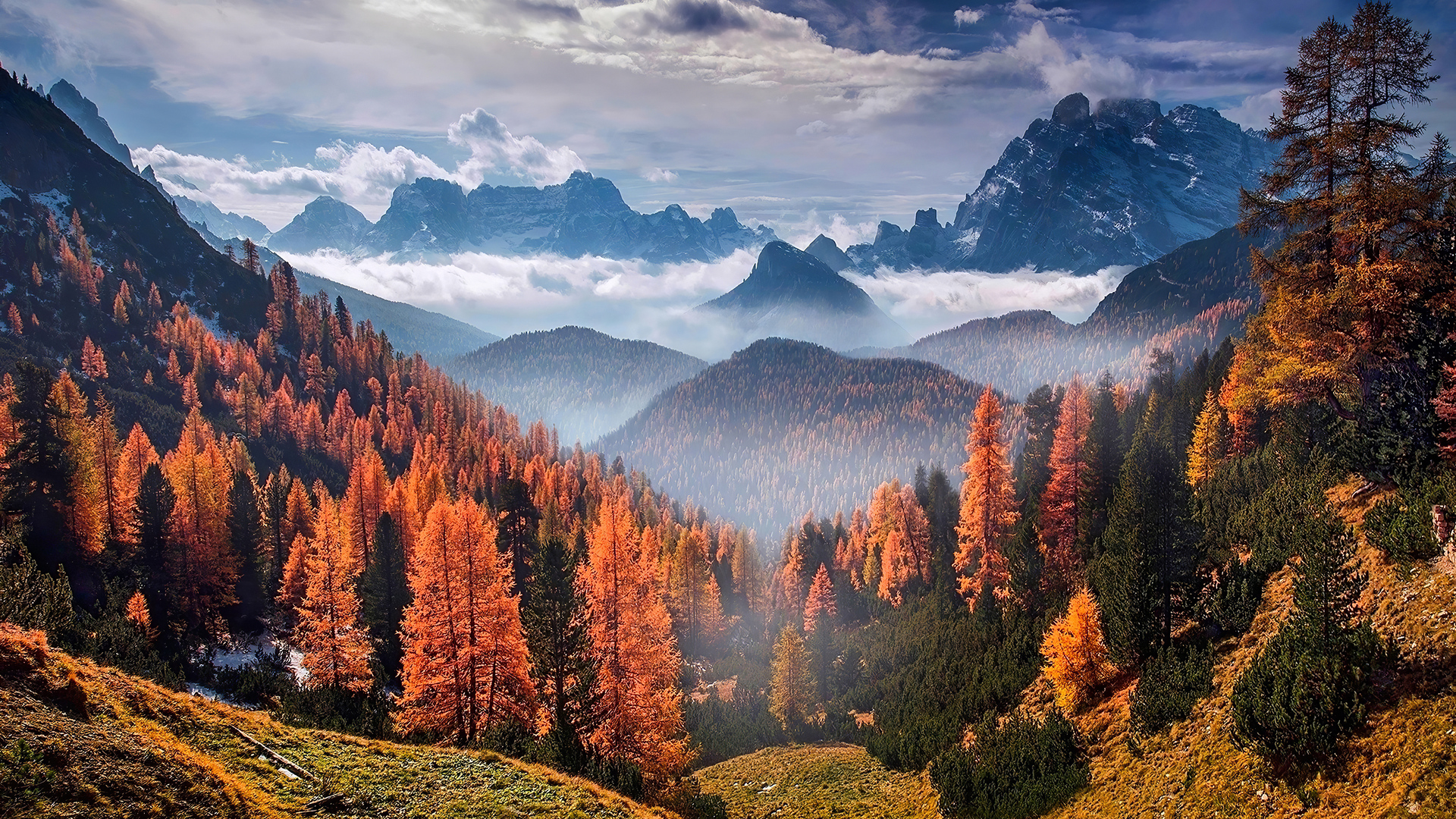 Forest Landscape Clouds 4k Laptop Full HD 1080P HD 4k Wallpaper, Image, Background, Photo and Picture