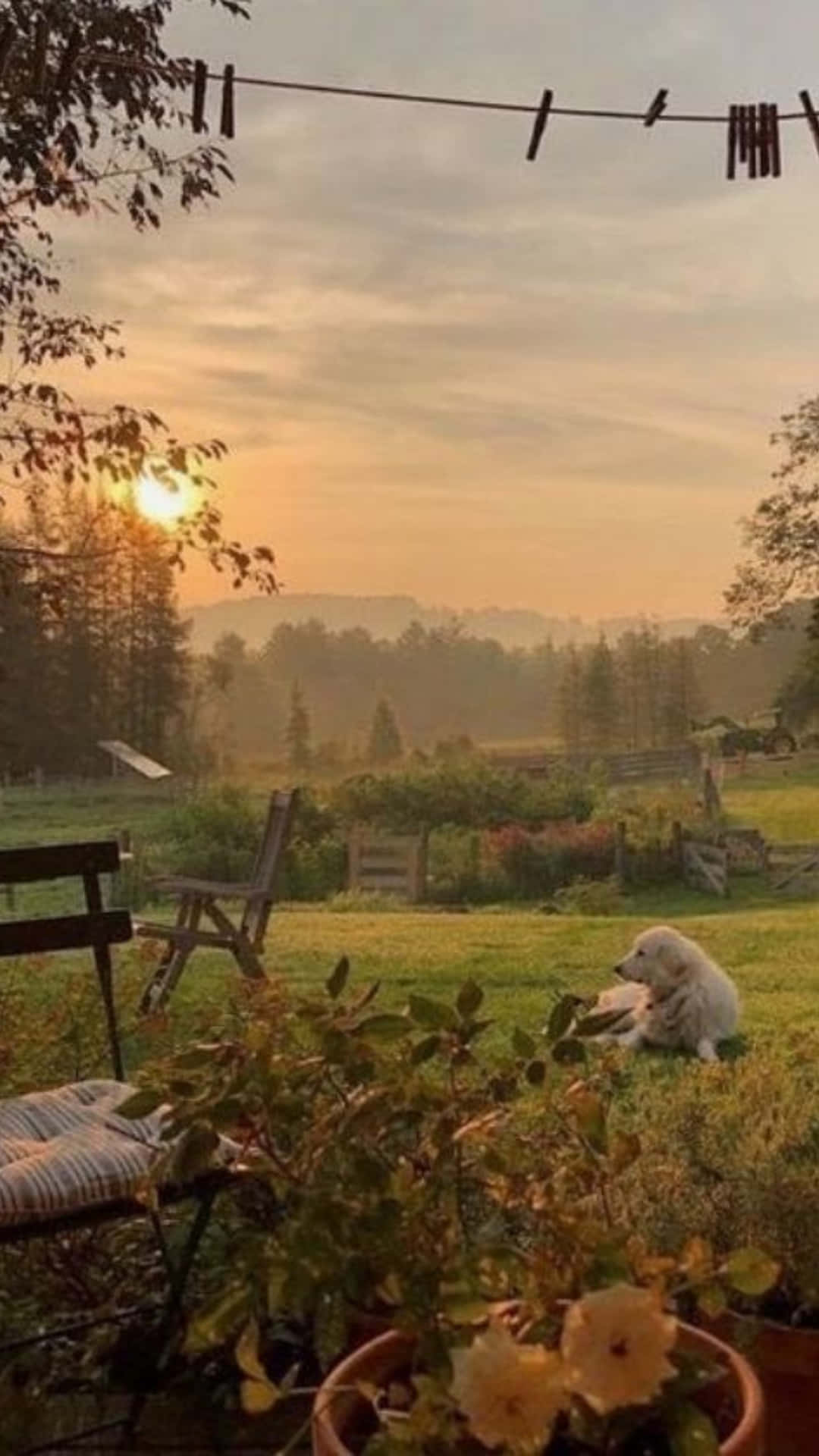 Download A peaceful vision of Cottagecore beauty