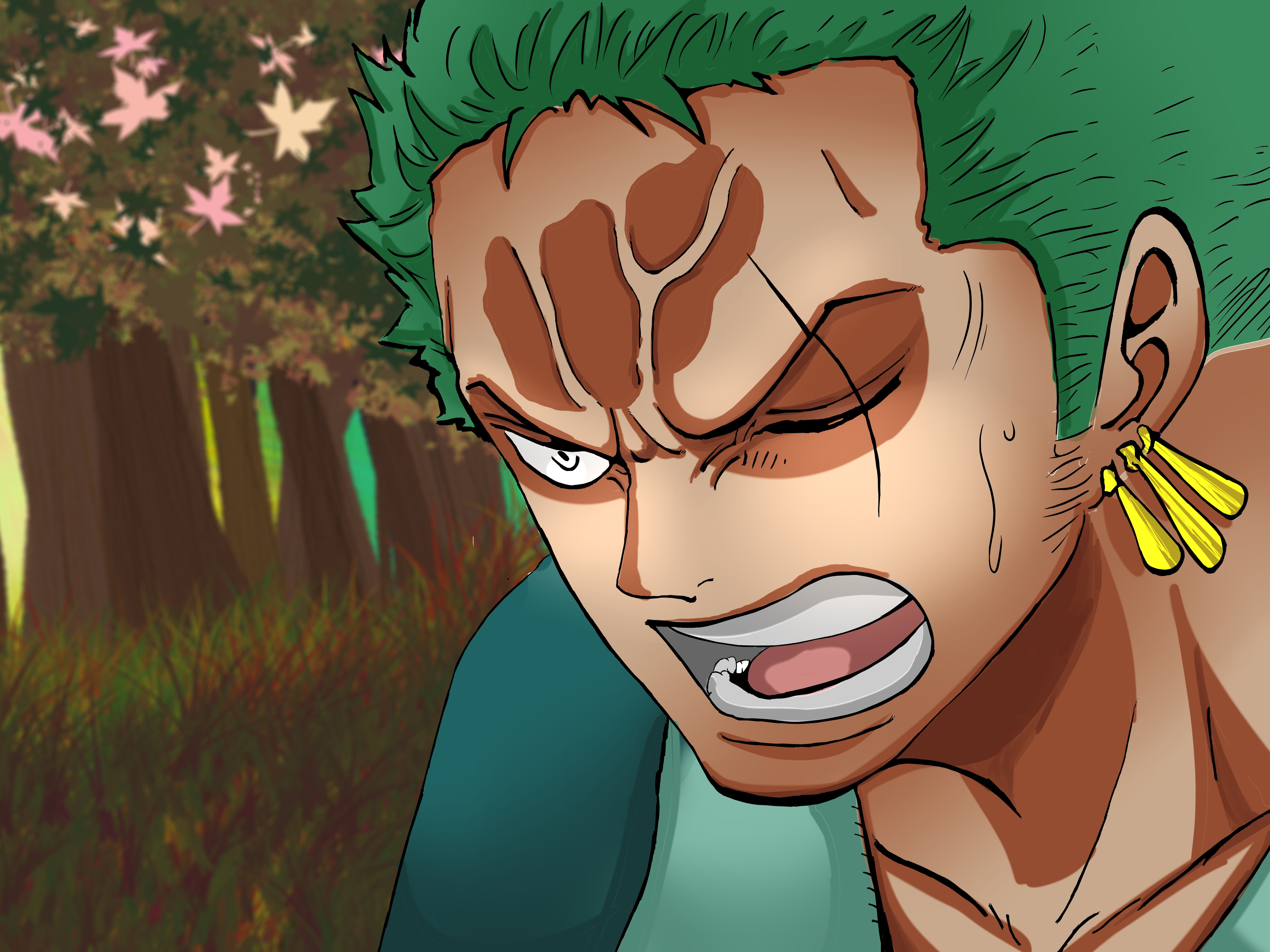 Roronoa Zoro Anime One Piece 4k Ultra