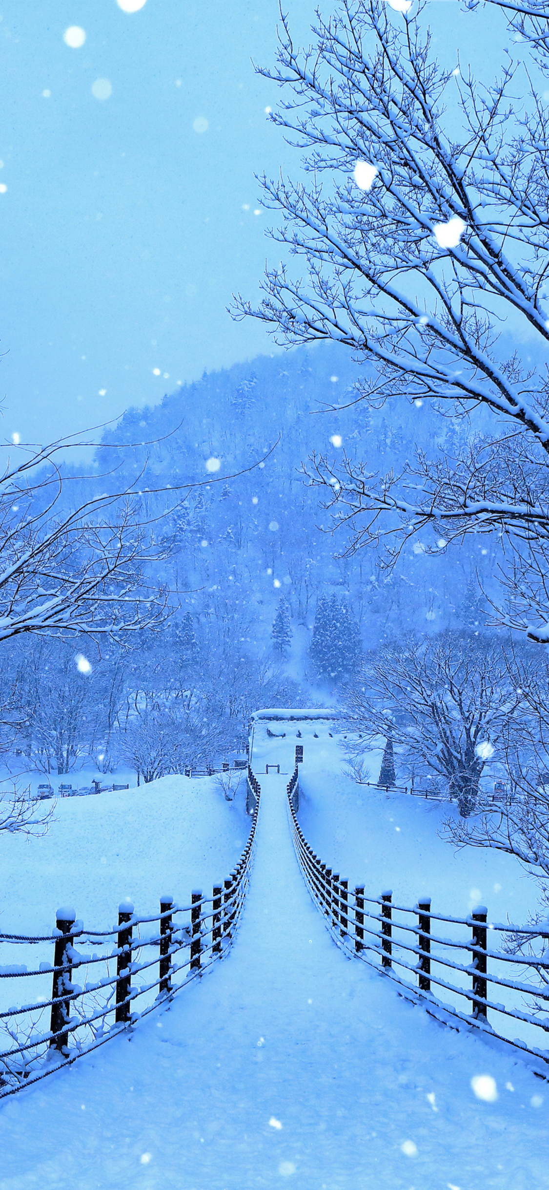 Winter Roads Of Japan 4k iPhone XS, iPhone 10, iPhone X HD 4k Wallpaper, Image, Background, Photo and Picture