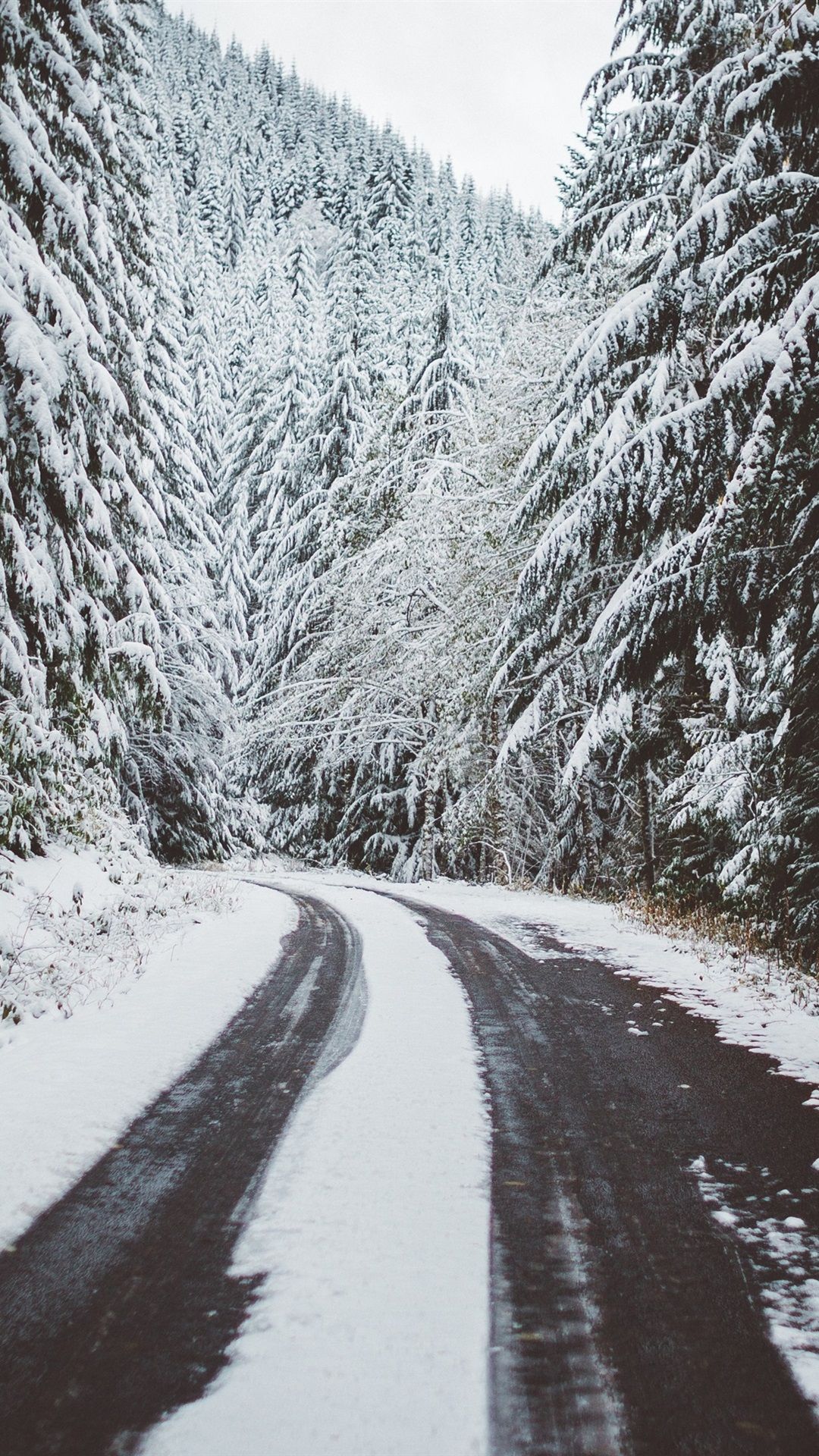 Winter 4k Wallpaper Ultra 4k Winter Background Download