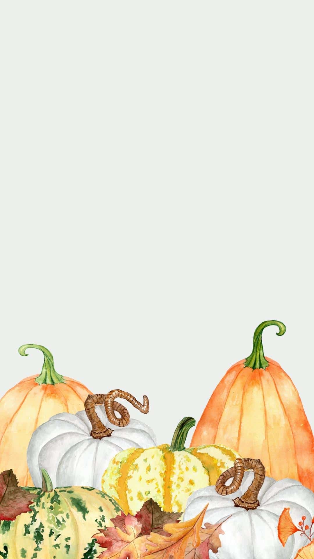 Fall iPhone Wallpaper Background To Download