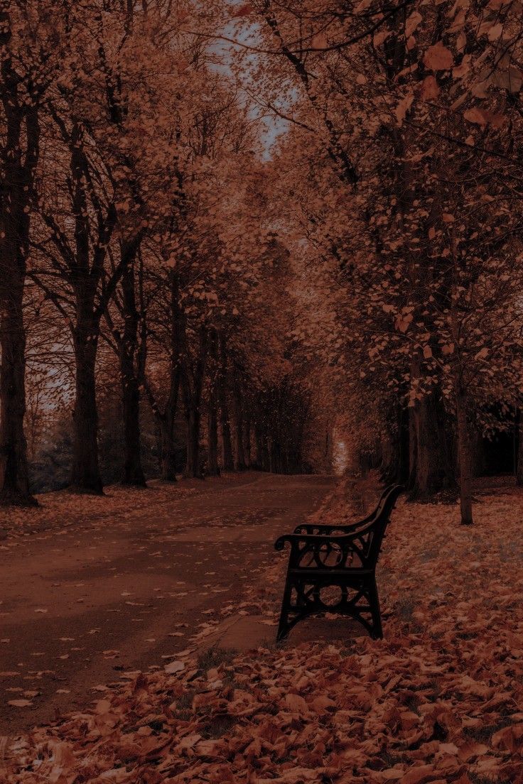 Autumn city nights. ideas. scenery, autumn aesthetic, autumn cozy